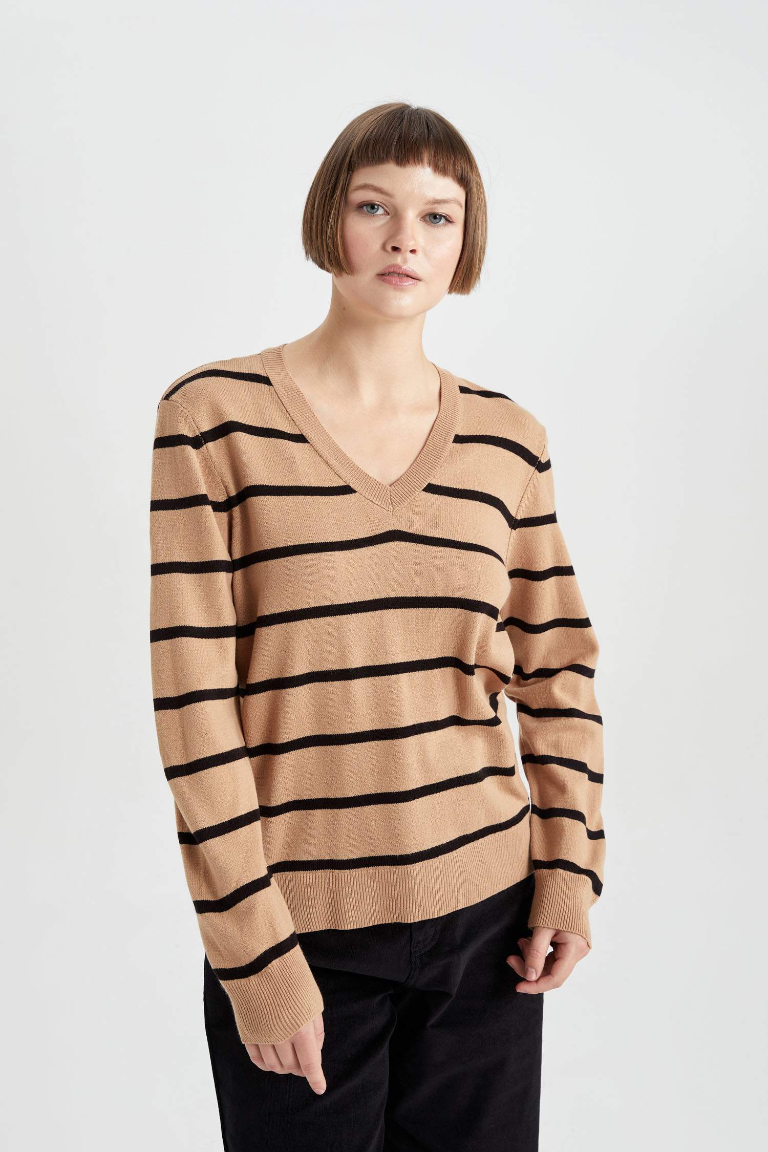 Regular Fit V-Neck Pullover