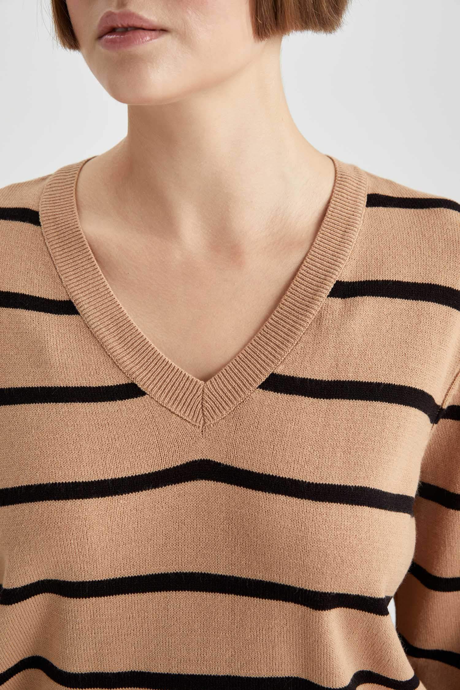 Regular Fit V-Neck Pullover