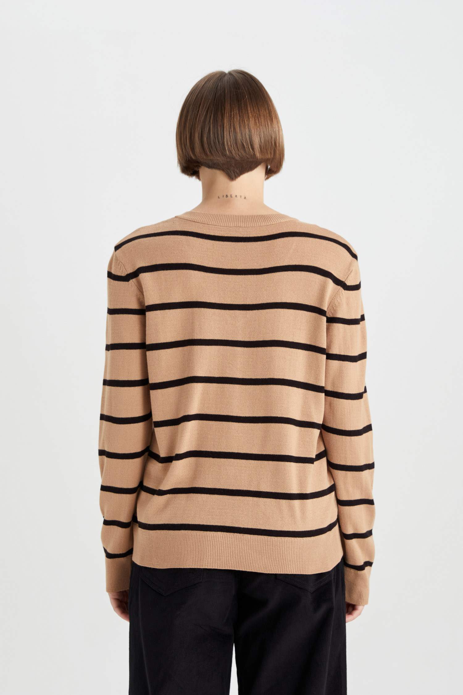 Regular Fit V-Neck Pullover