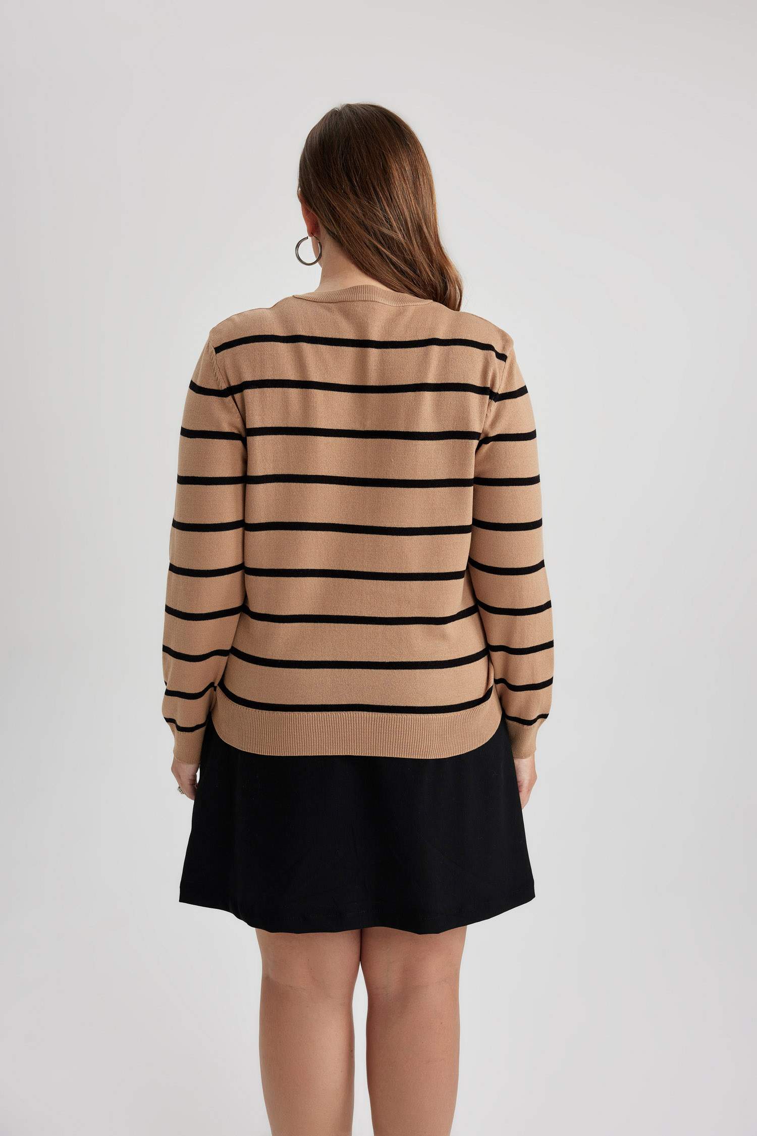 Regular Fit V-Neck Pullover