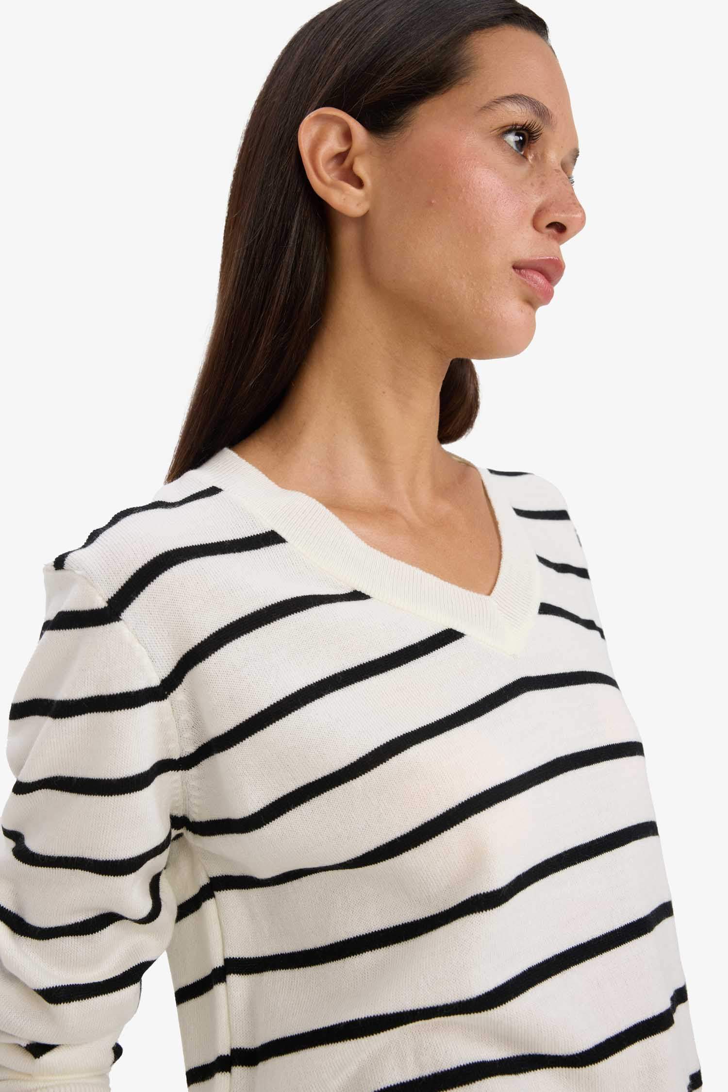 Relax Fit V-Neck Knit Pullover