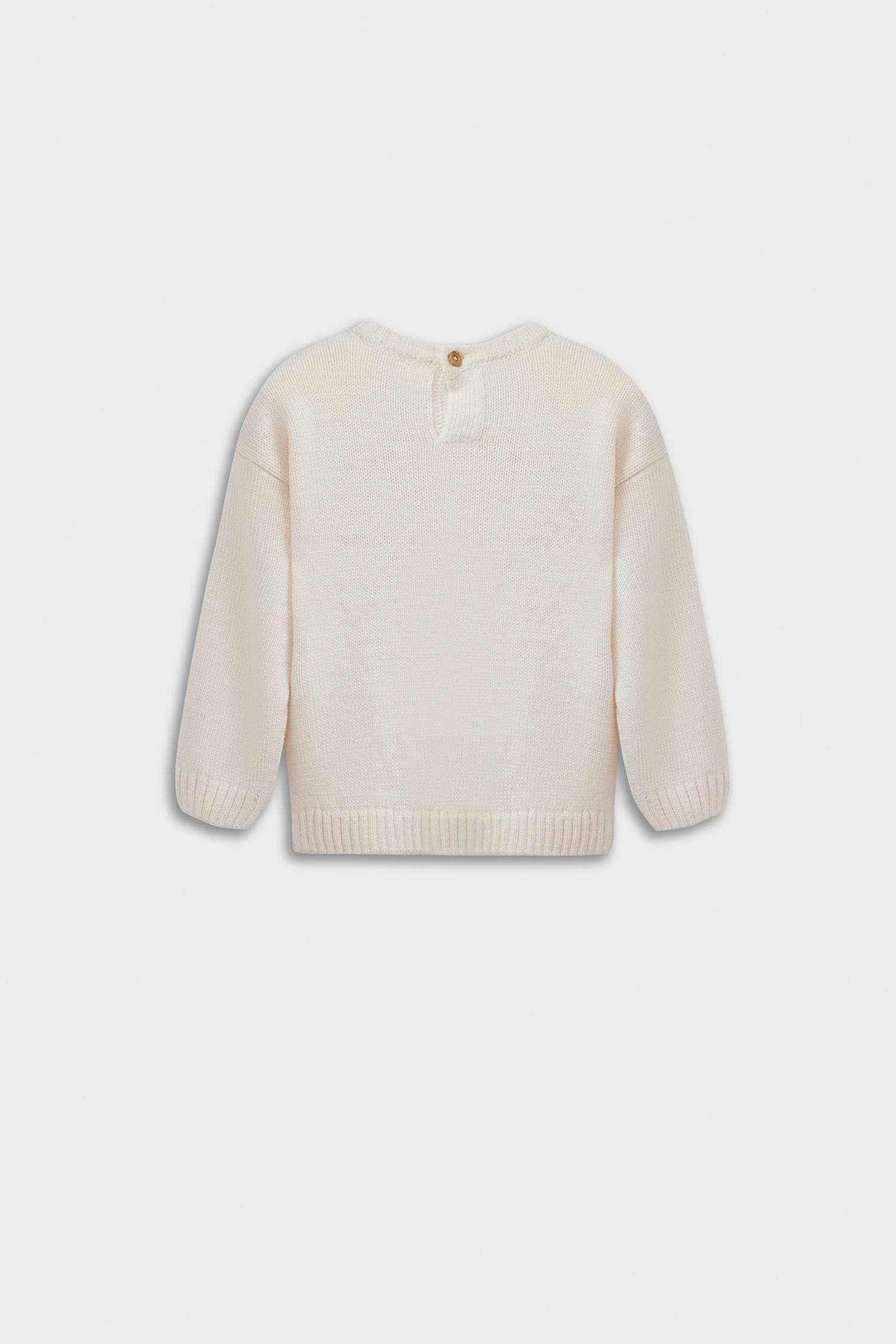 Baby Boy Crew Neck Printed Pullover