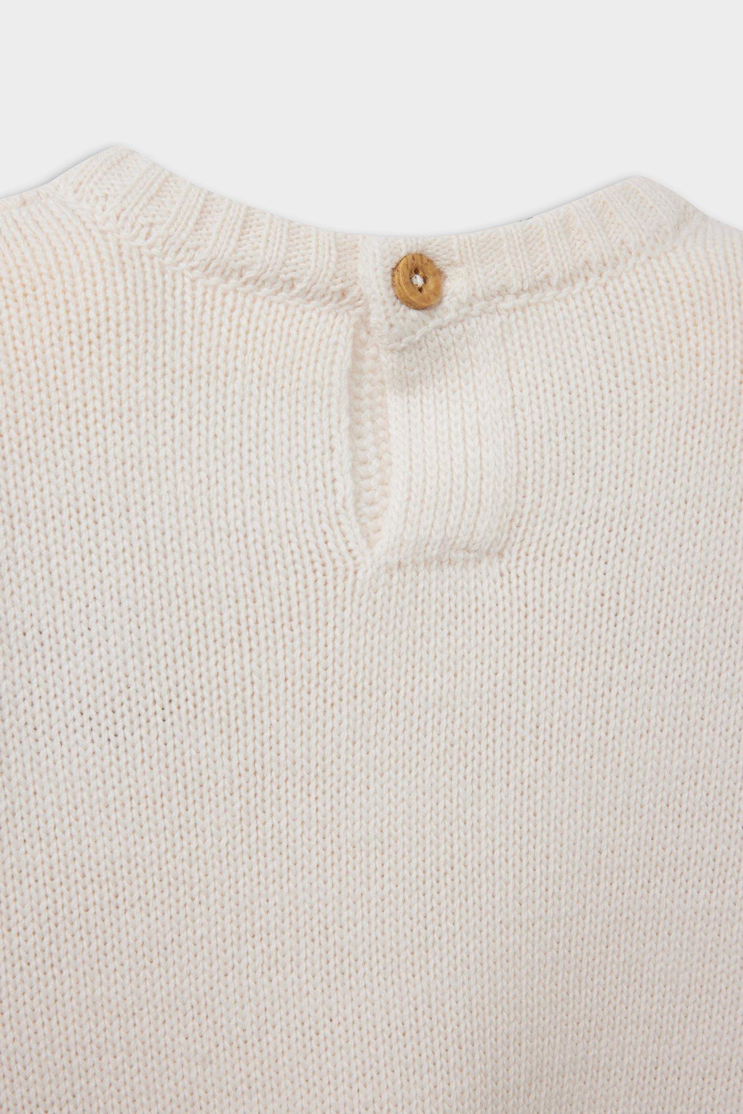 Baby Boy Crew Neck Printed Pullover