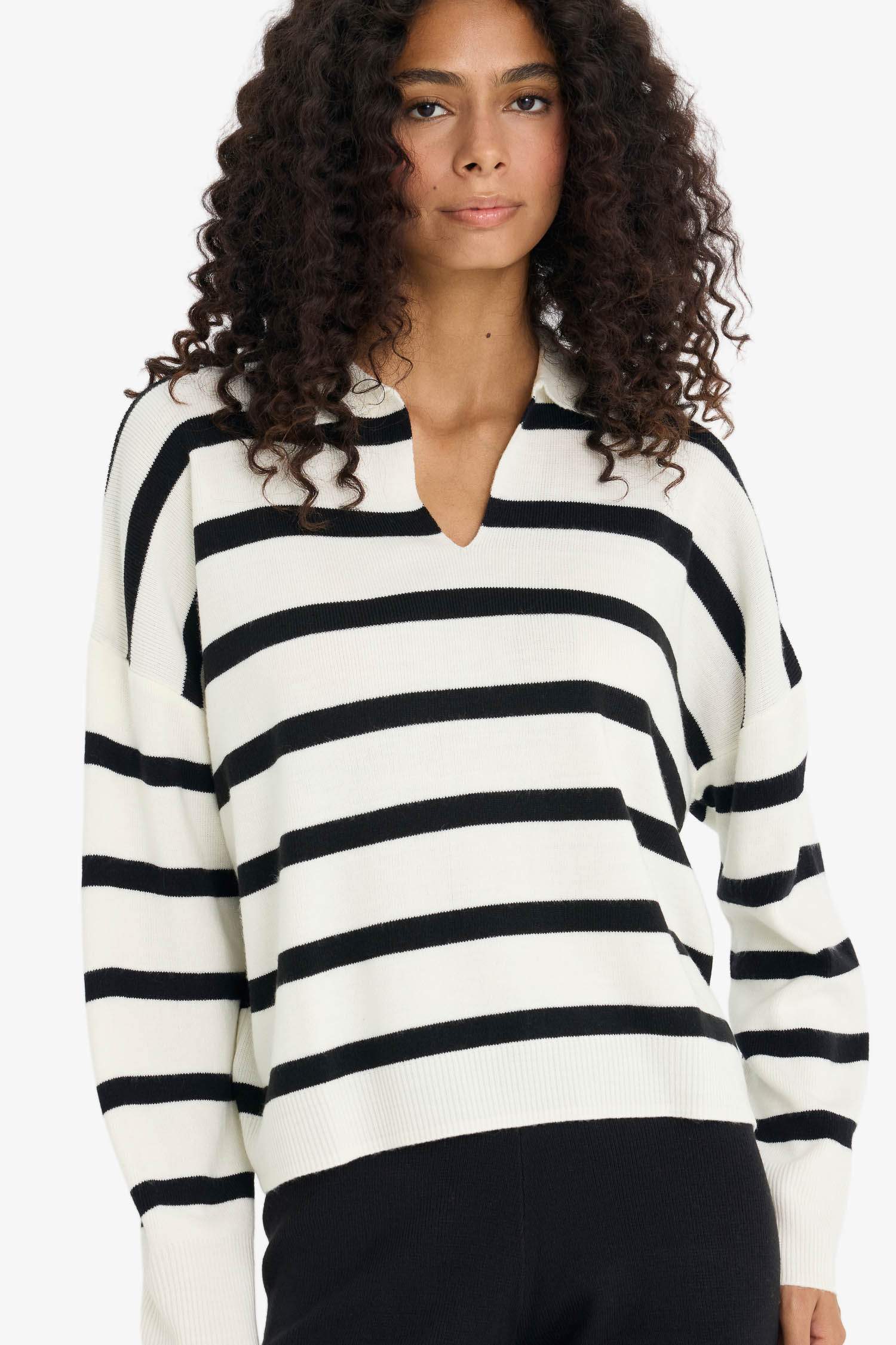 Regular Fit Polo Collar Pullover