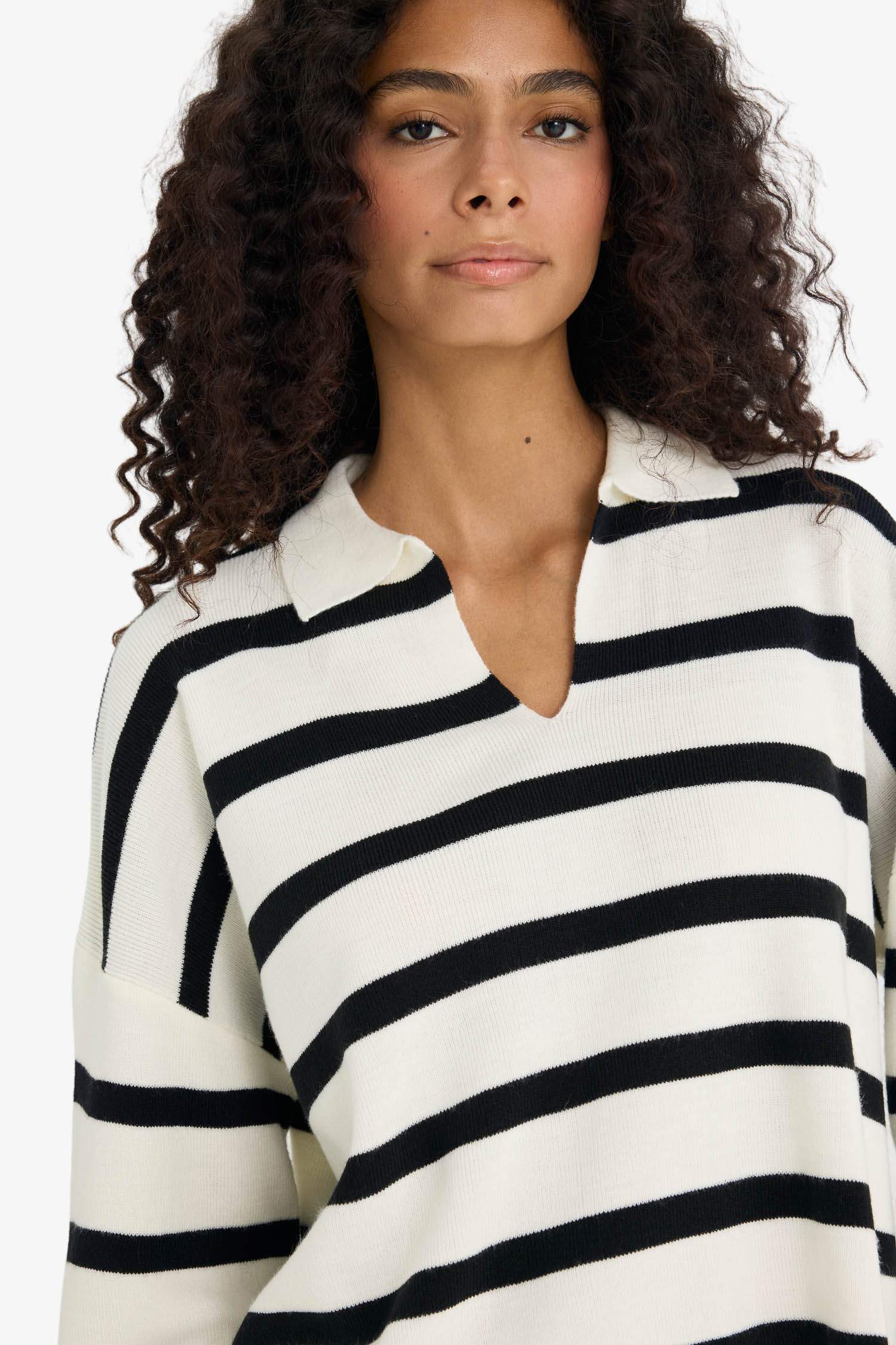 Regular Fit Polo Collar Pullover