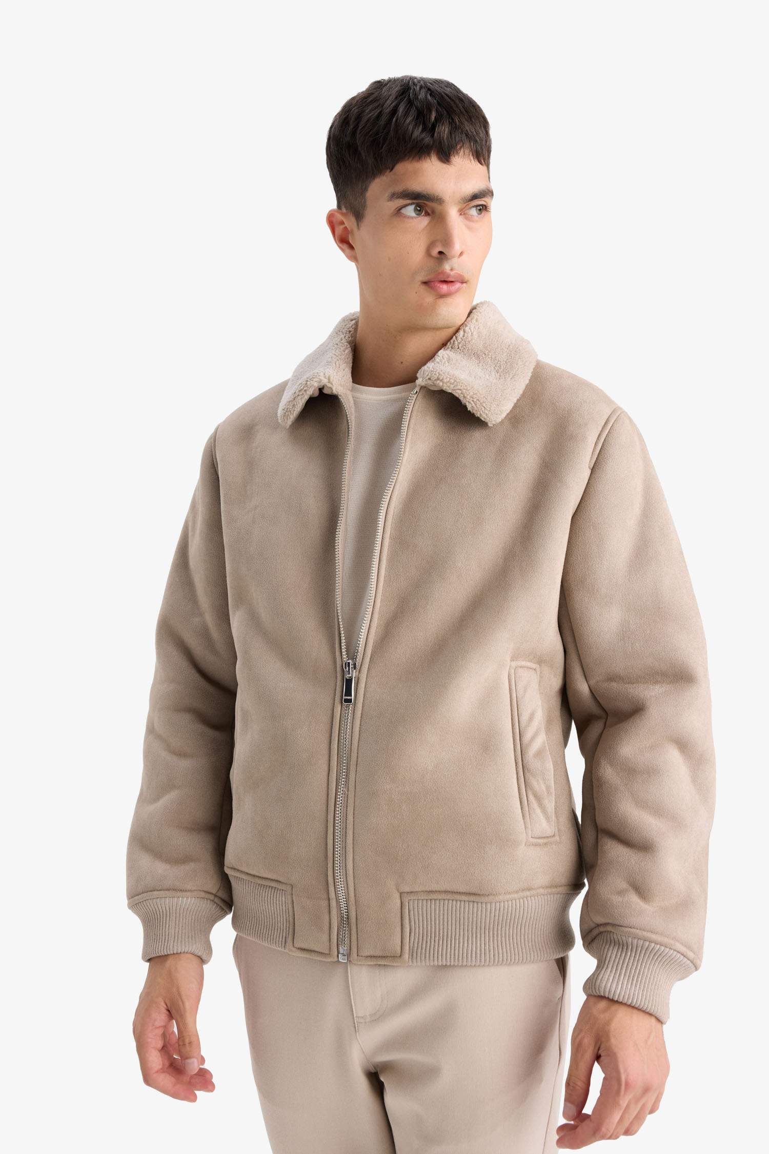 جاكيت شمواه سليم فيت بياقة بولو مبطن