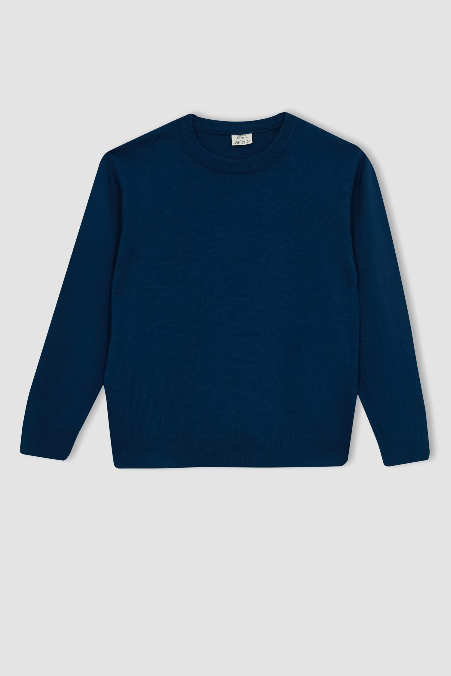 Boy Regular Fit Crew Neck Pullover