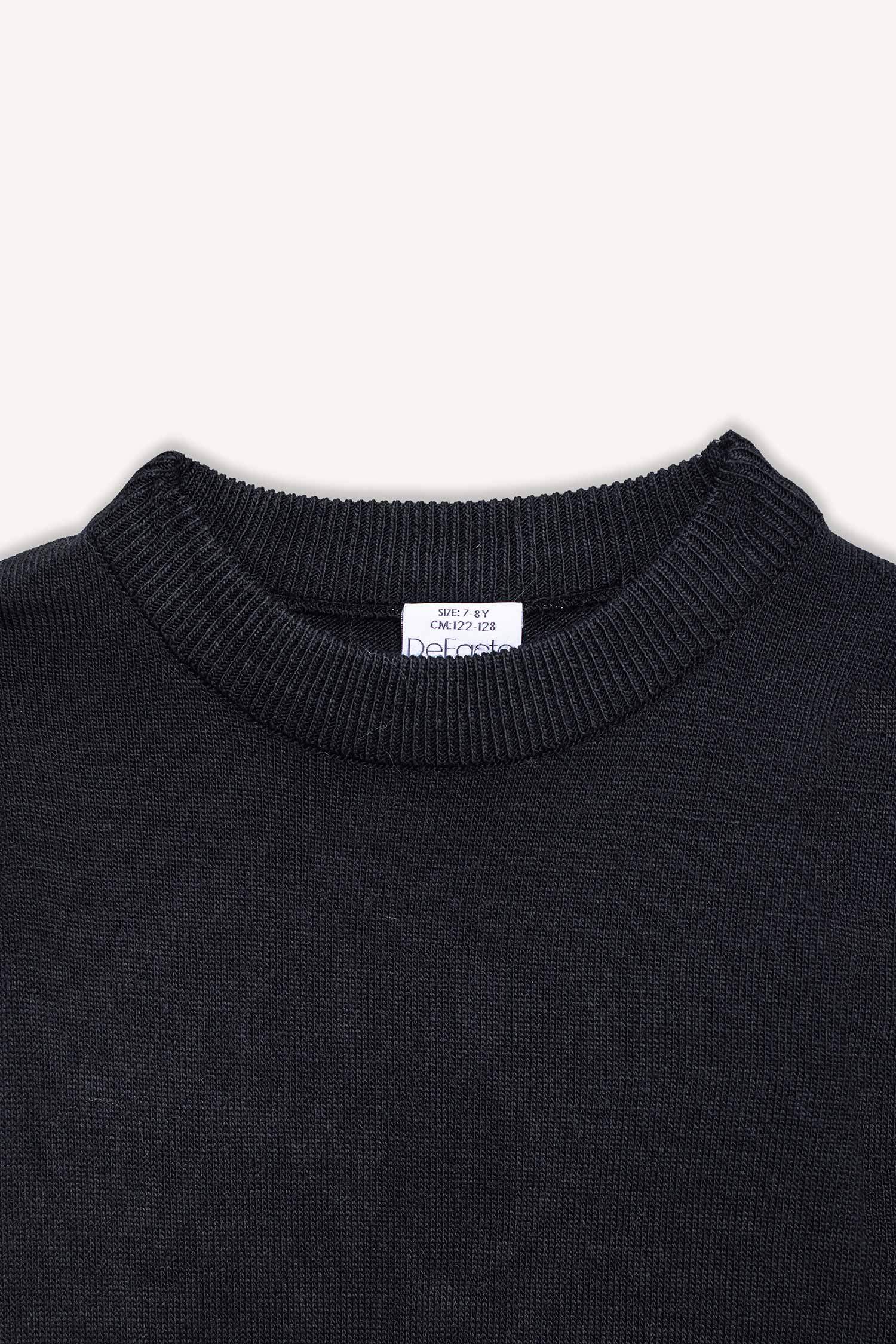 Boy Regular Fit Crew Neck Pullover