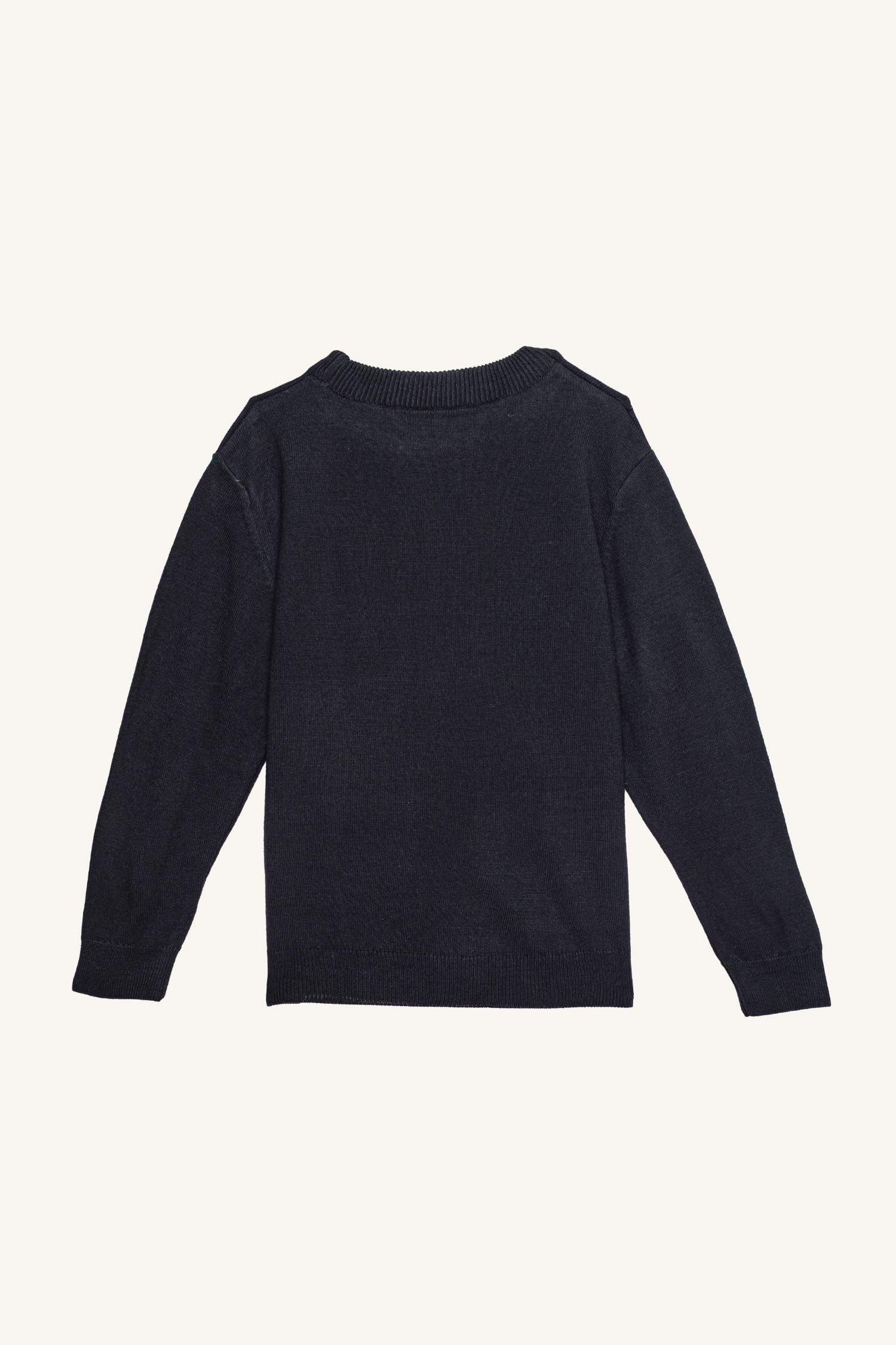 Boy Regular Fit Crew Neck Pullover