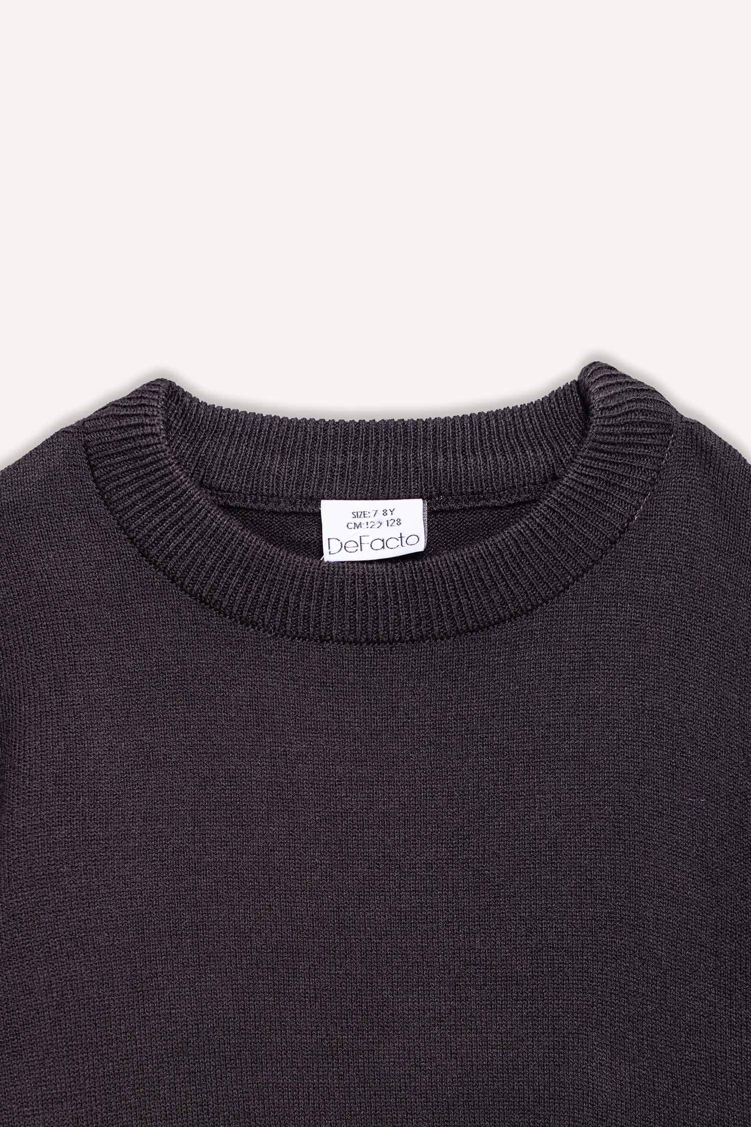 Boy Regular Fit Crew Neck Pullover