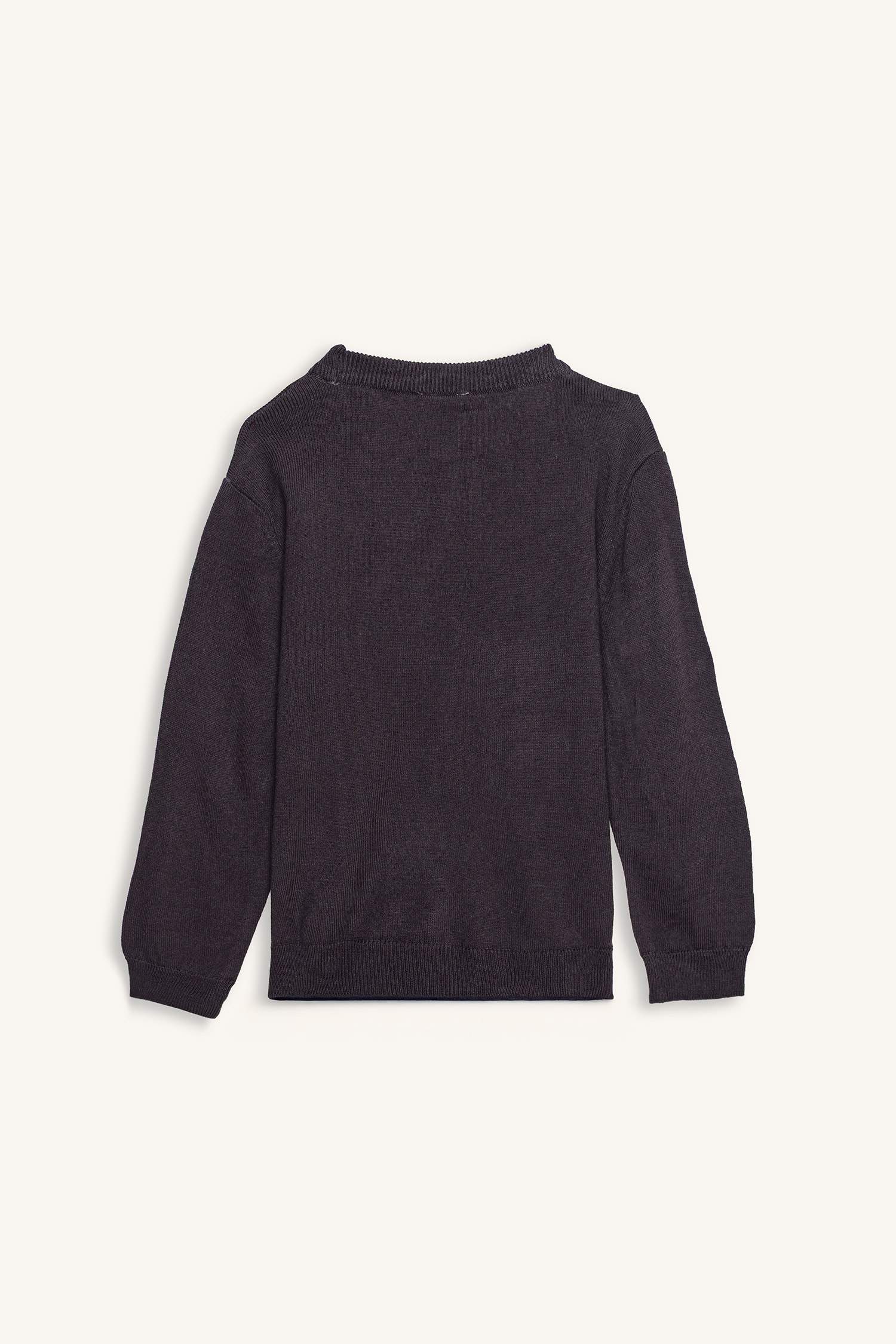 Boy Regular Fit Crew Neck Pullover