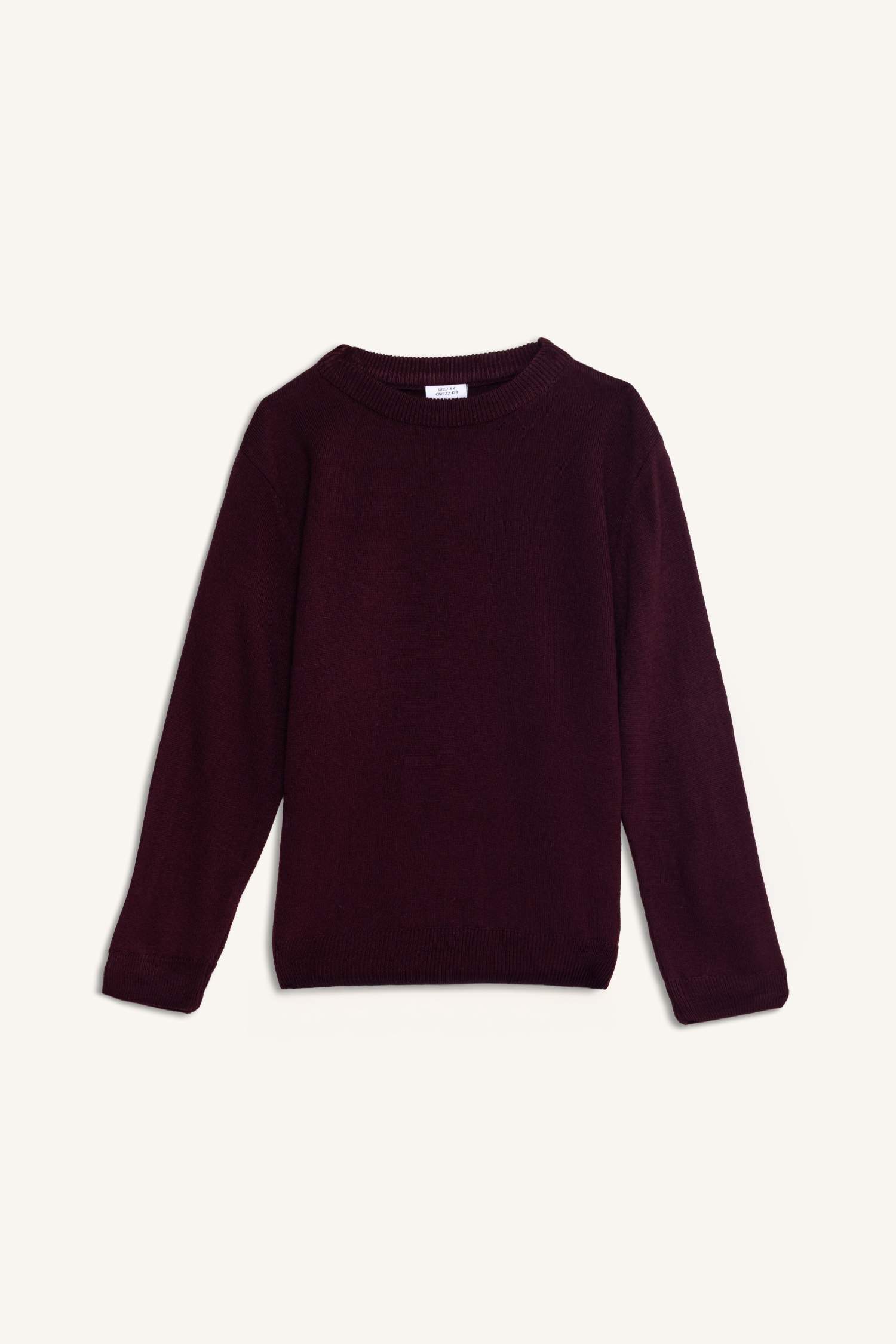 Boy Regular Fit Crew Neck Knit Pullover