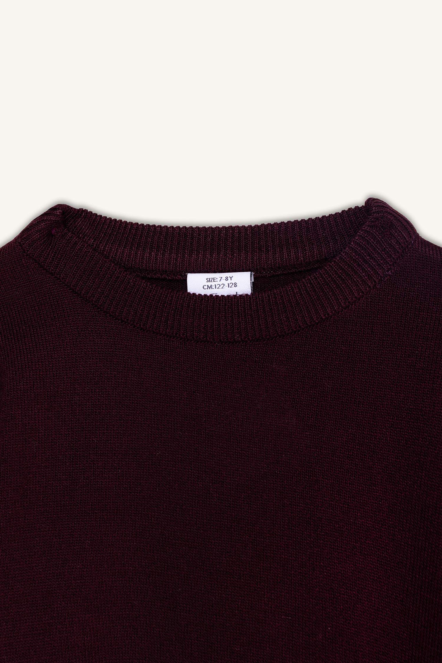 Boy Regular Fit Crew Neck Knit Pullover
