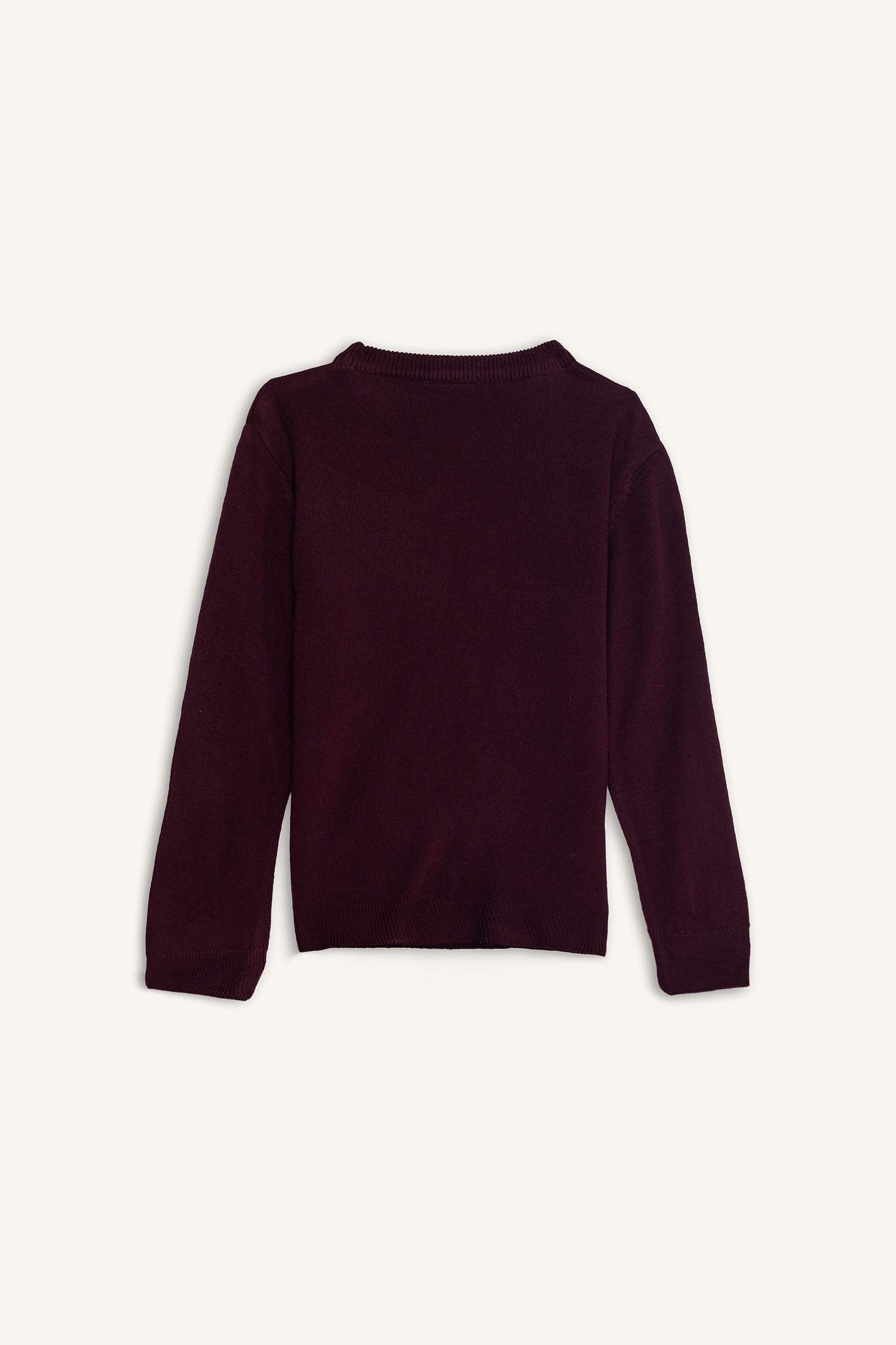 Boy Regular Fit Crew Neck Knit Pullover