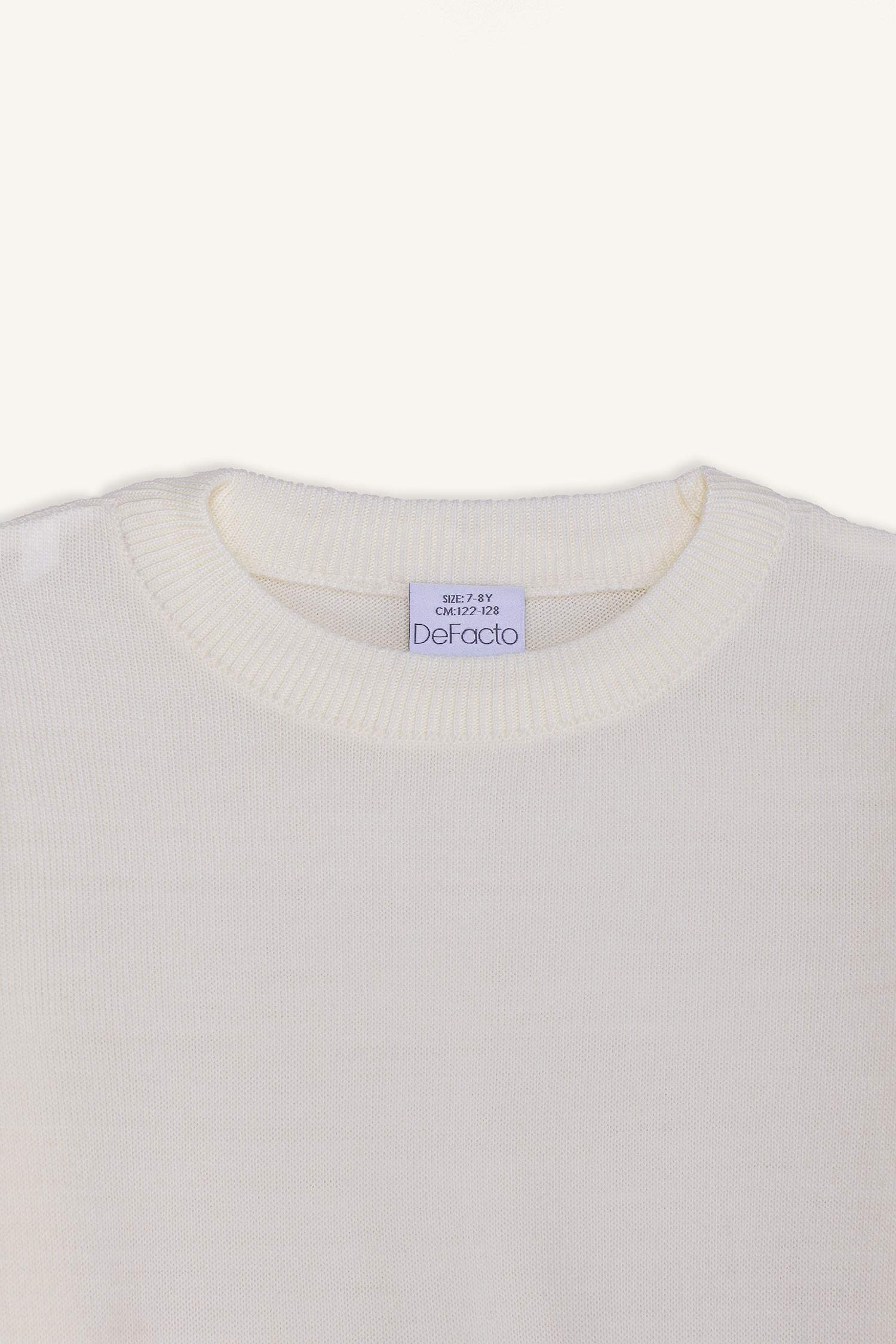 Boy Regular Fit Crew Neck Knit Pullover