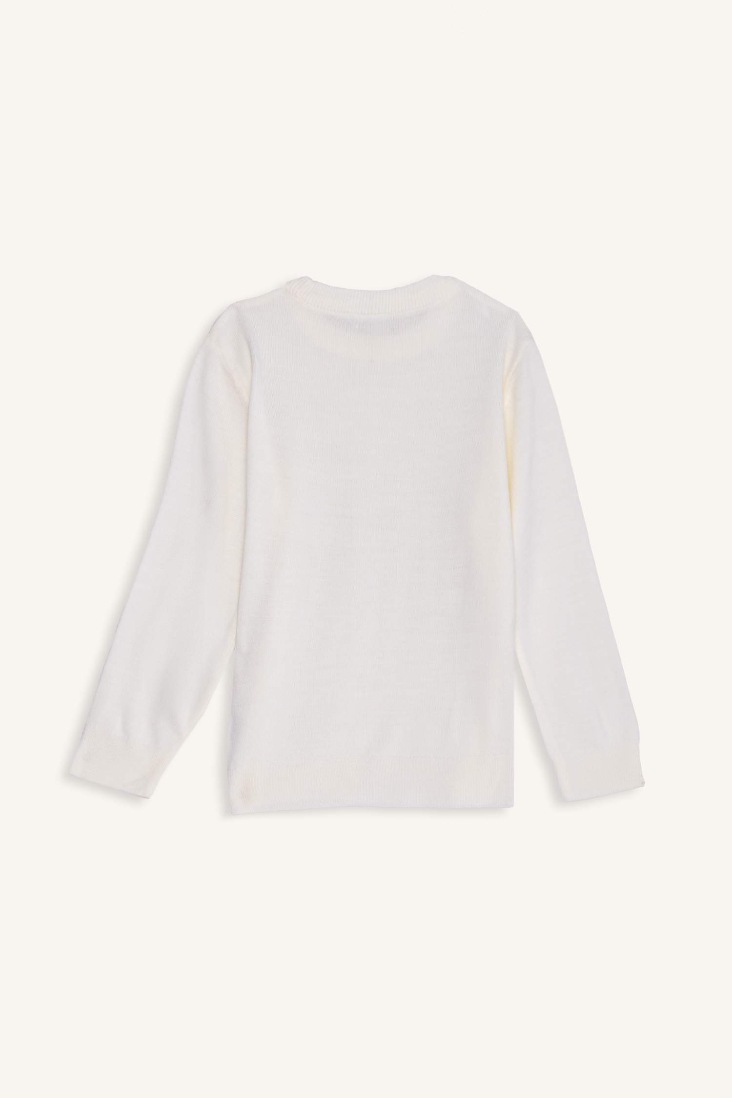 Boy Regular Fit Crew Neck Knit Pullover