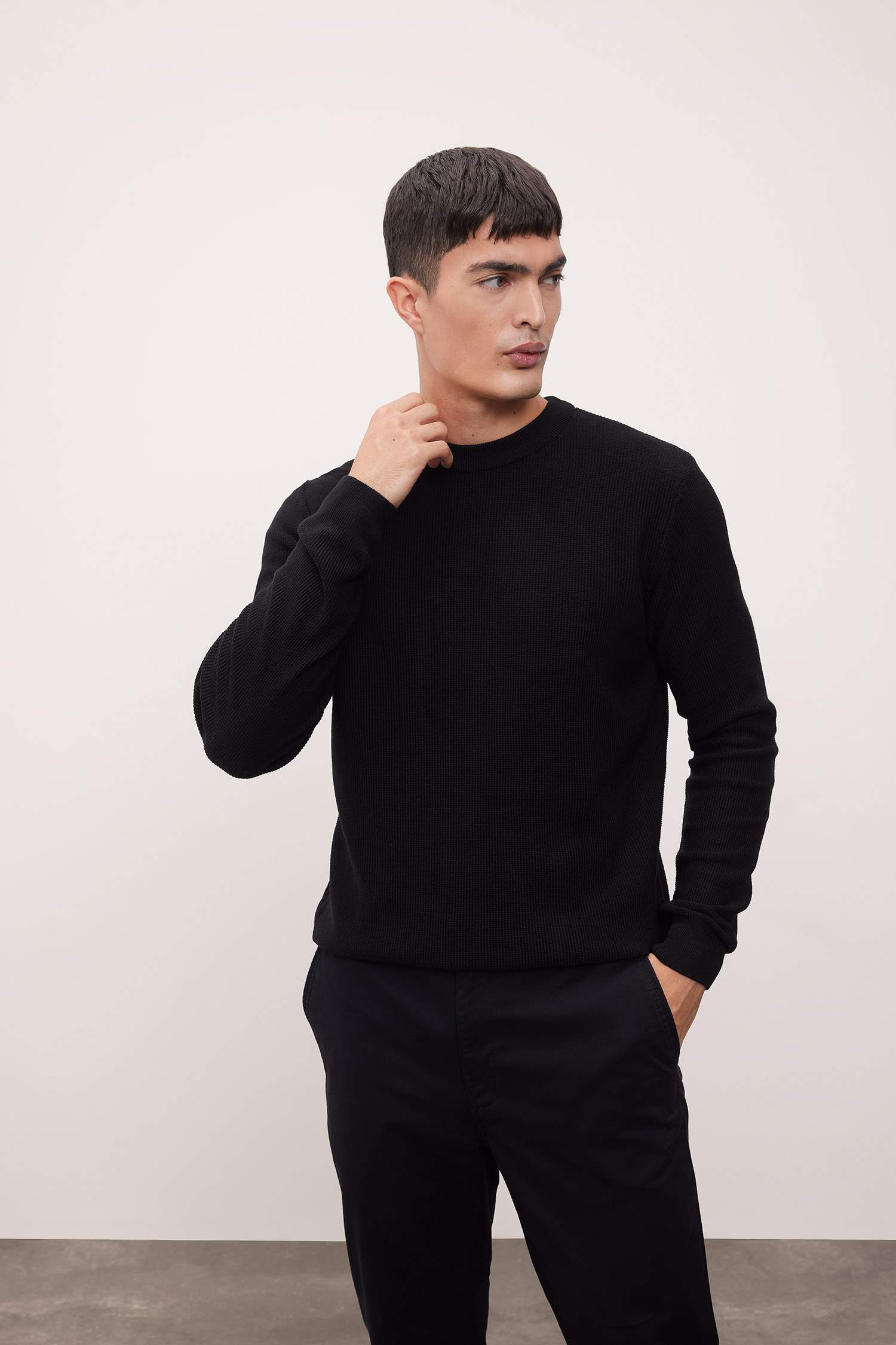 Black Standard Fit Cotton Crew Neck Knitted Pullover