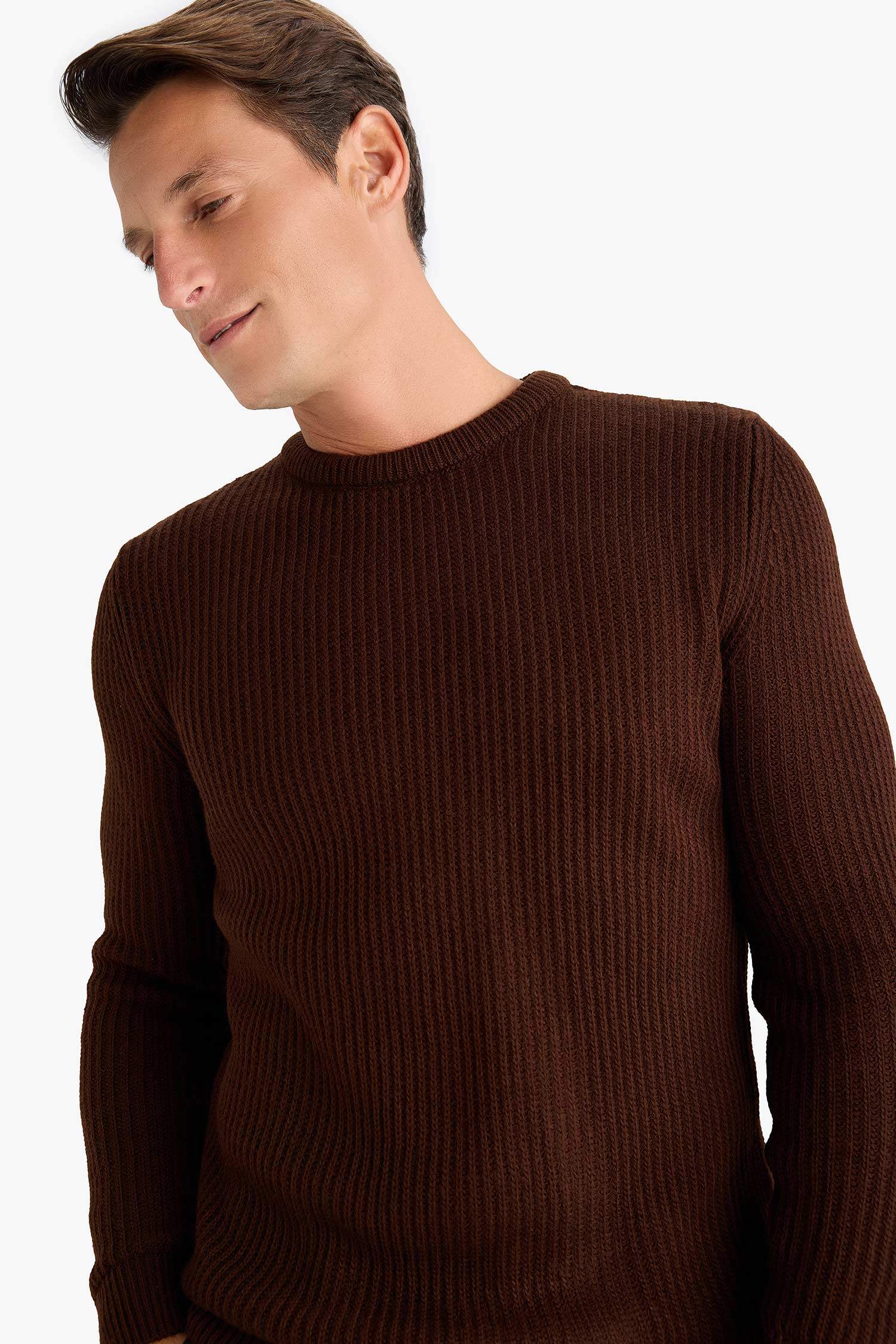 Regular Fit Bisiklet Yaka Triko Kazak