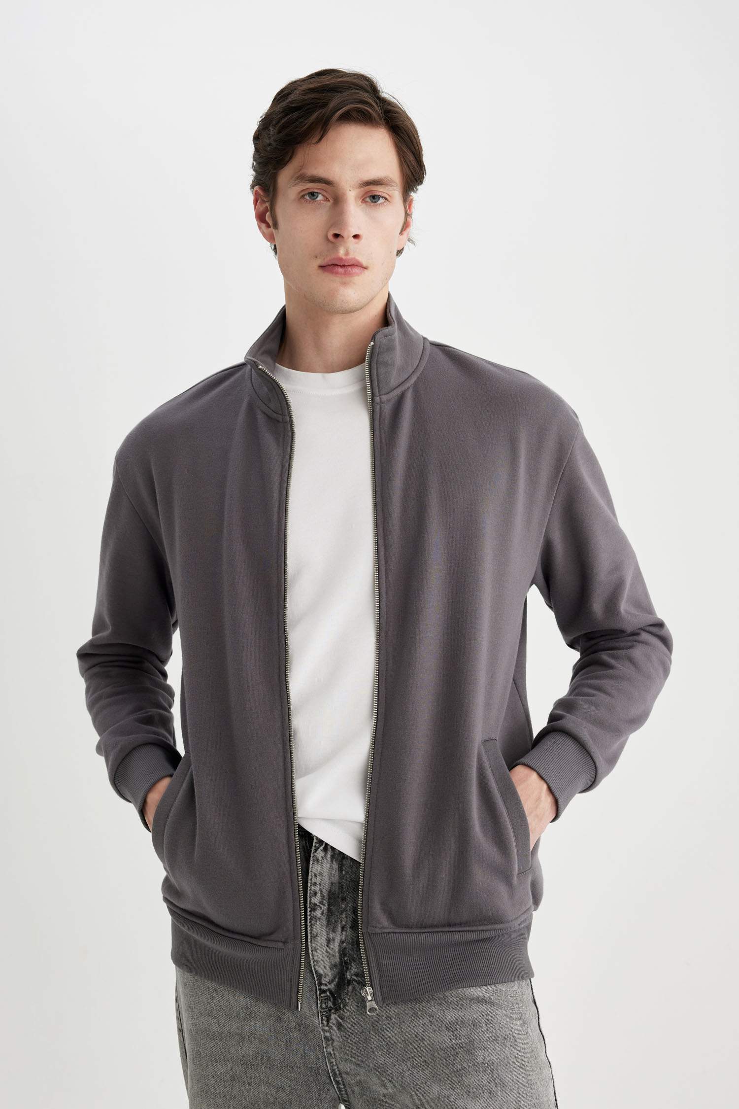 Comfort Fit Stand Collar Zippered Sweatshirt