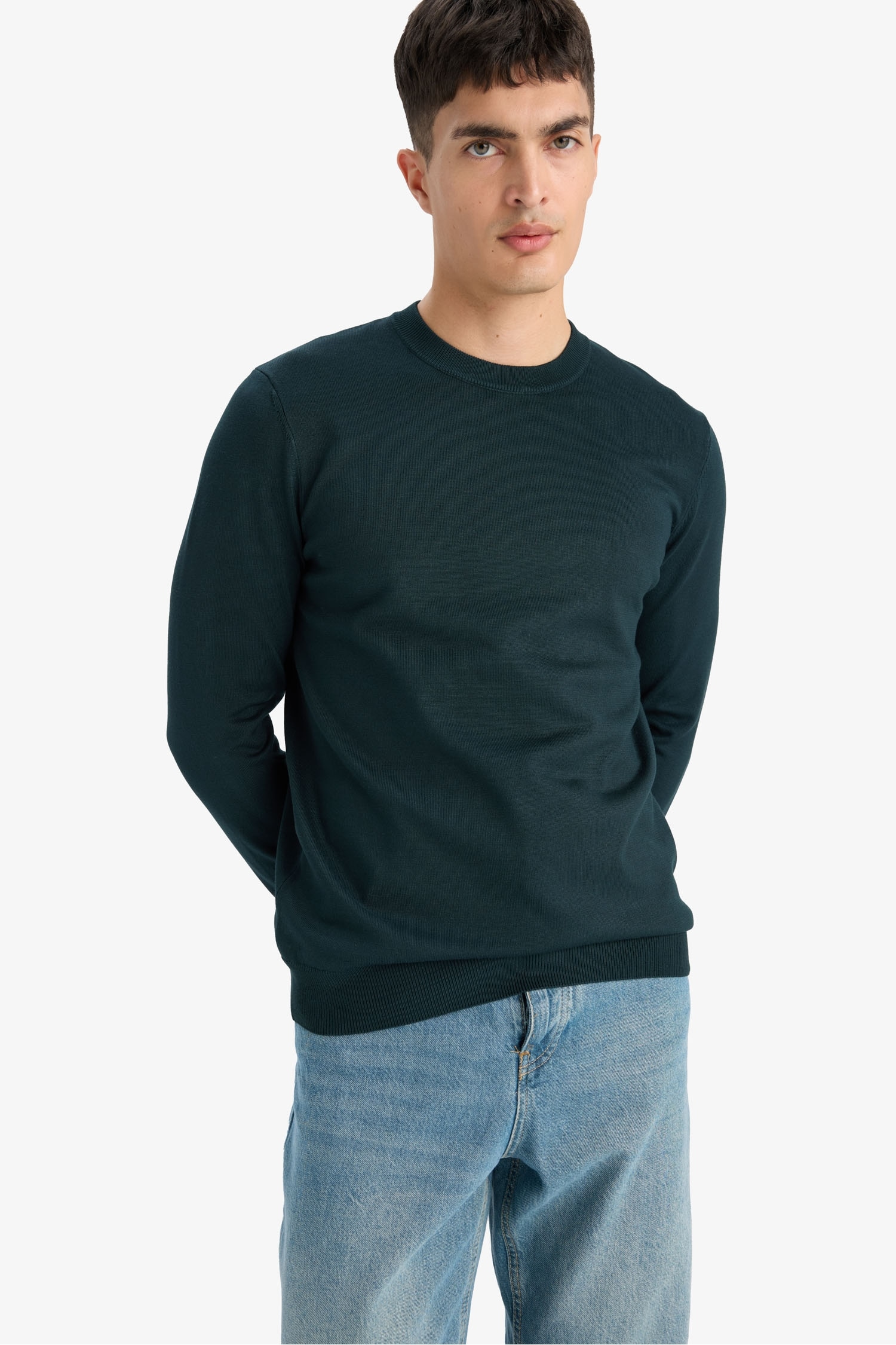 Regular Fit Crew Neck Knitwear Pullover