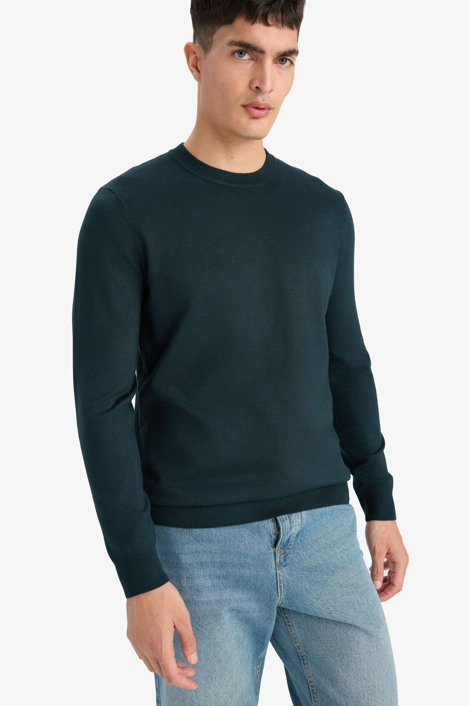 Regular Fit Crew Neck Knitwear Pullover