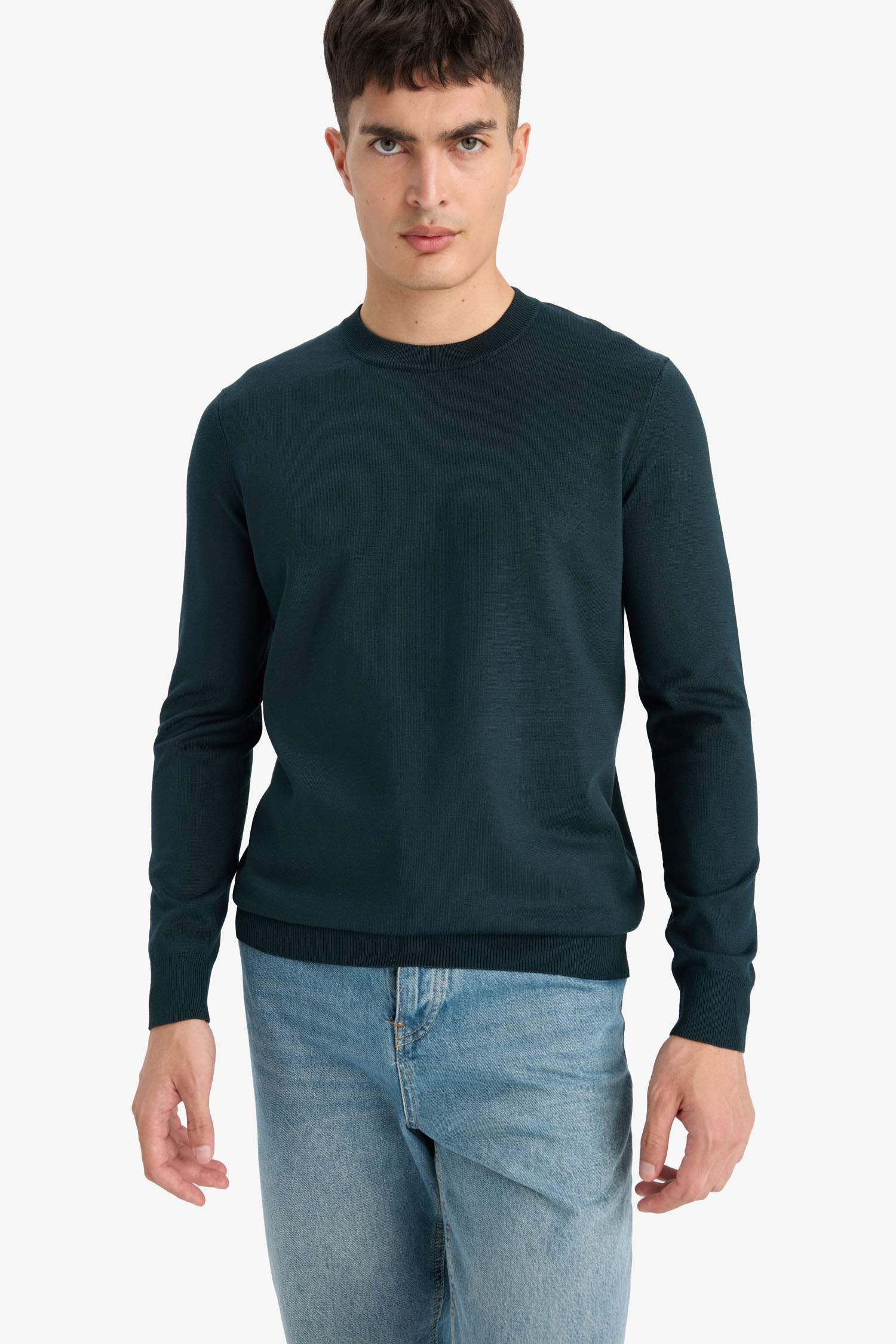 Regular Fit Crew Neck Knitwear Pullover