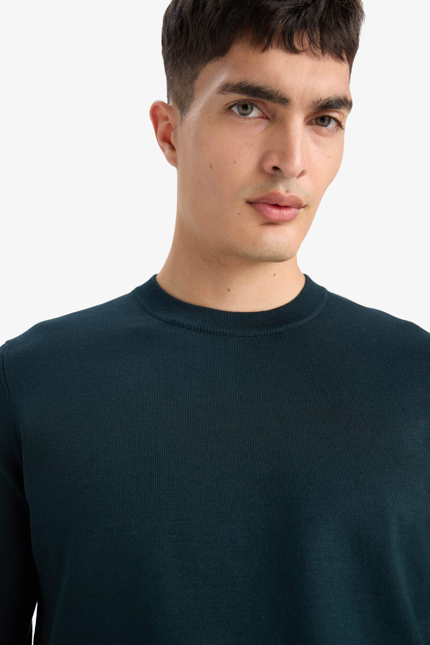 Regular Fit Crew Neck Knitwear Pullover