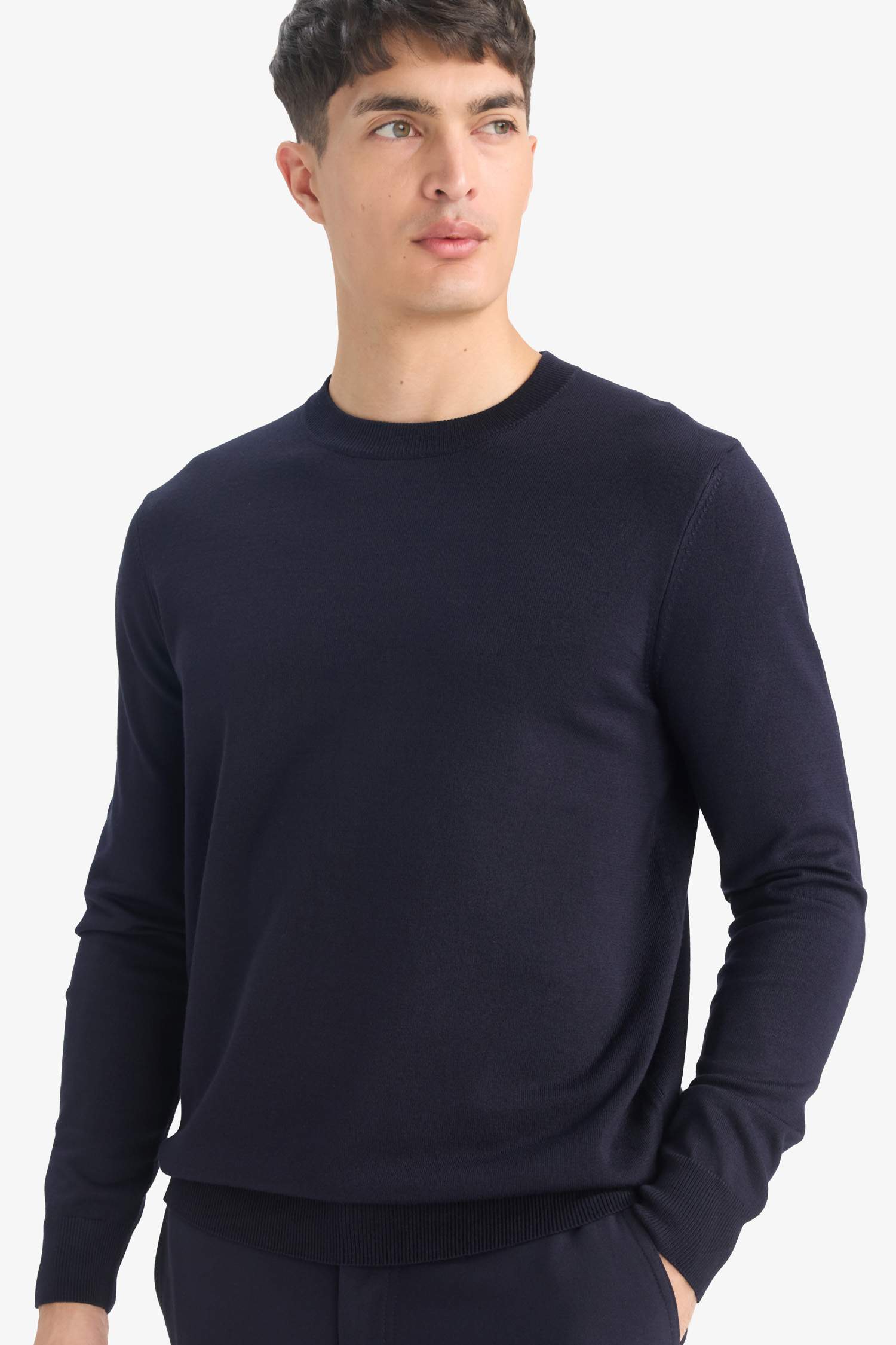 Регулярный крой с круглым вырезом трикотажный свитер