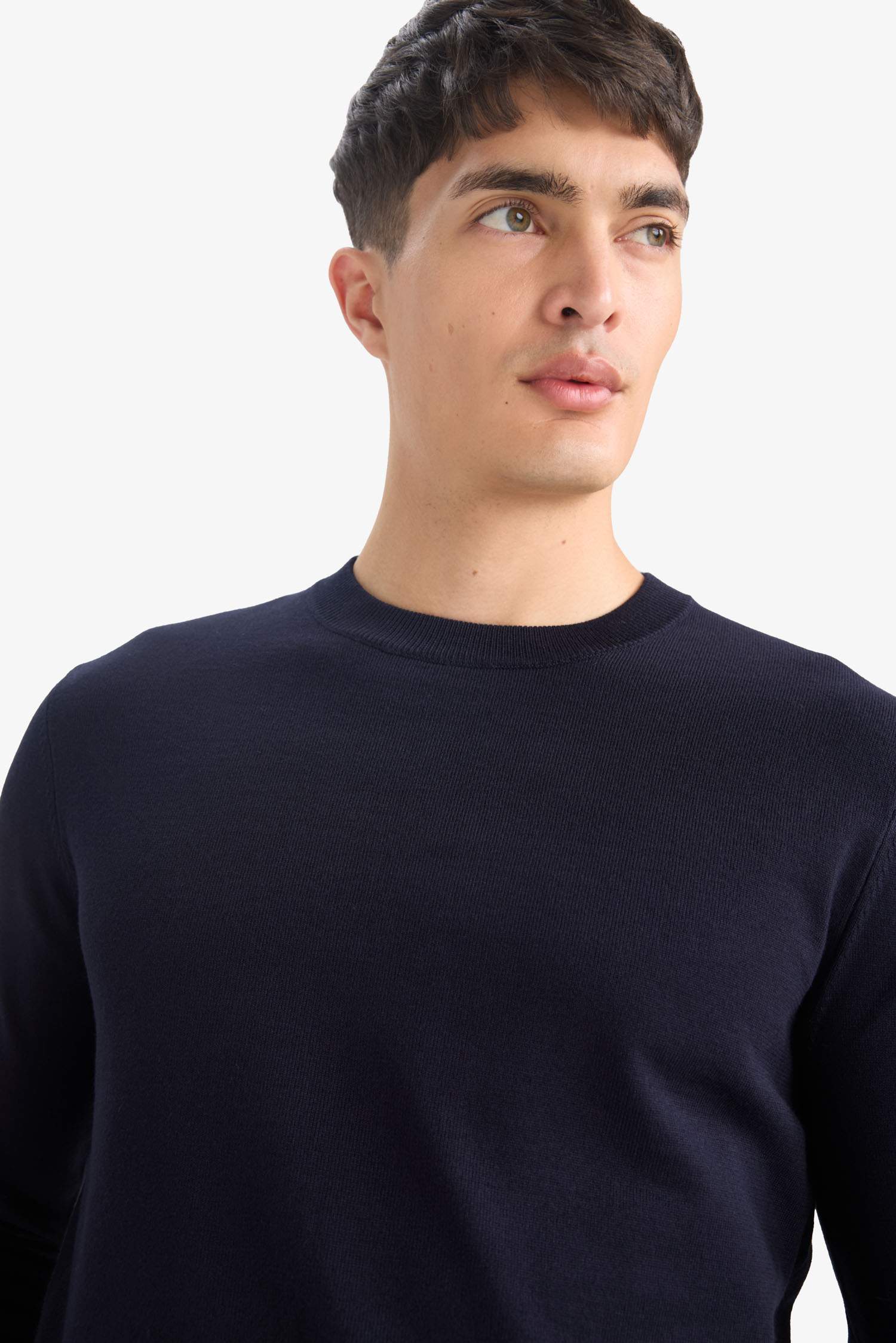 Регулярный крой с круглым вырезом трикотажный свитер