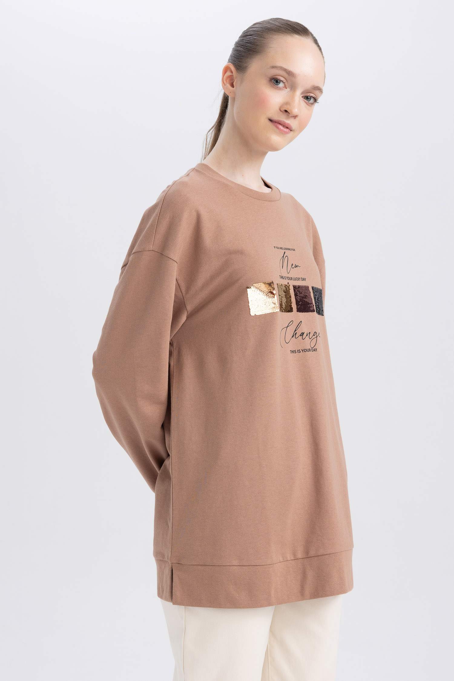 Regular Fit Thin Sweatshirt Fabric Crew Neck Embroidered Sweat Tunic