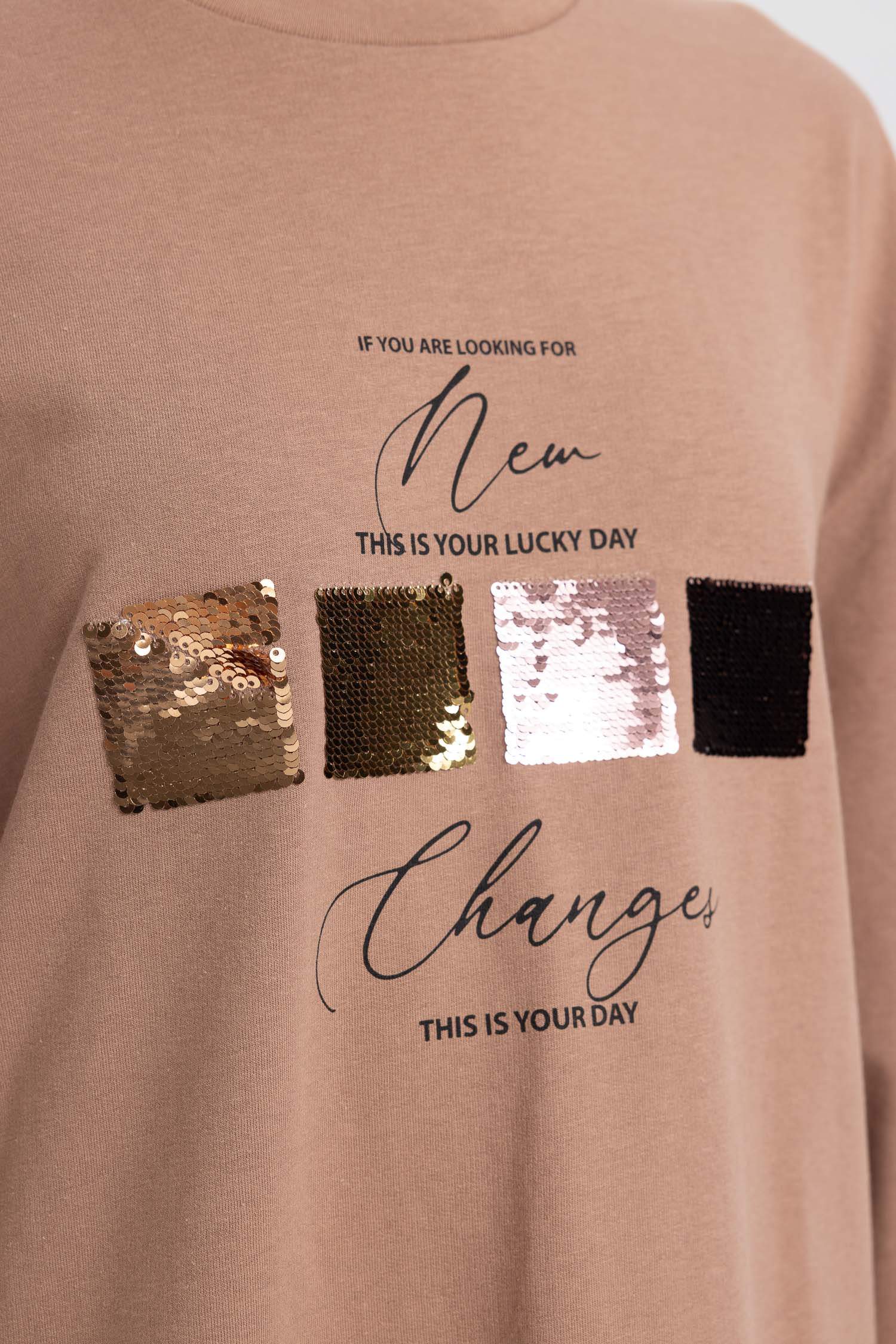 Regular Fit Thin Sweatshirt Fabric Crew Neck Embroidered Sweat Tunic