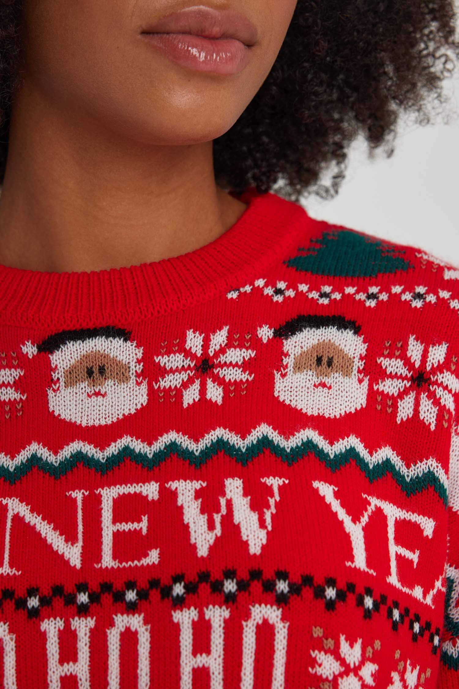 Christmas Themed Crew Neck Knit Pullover