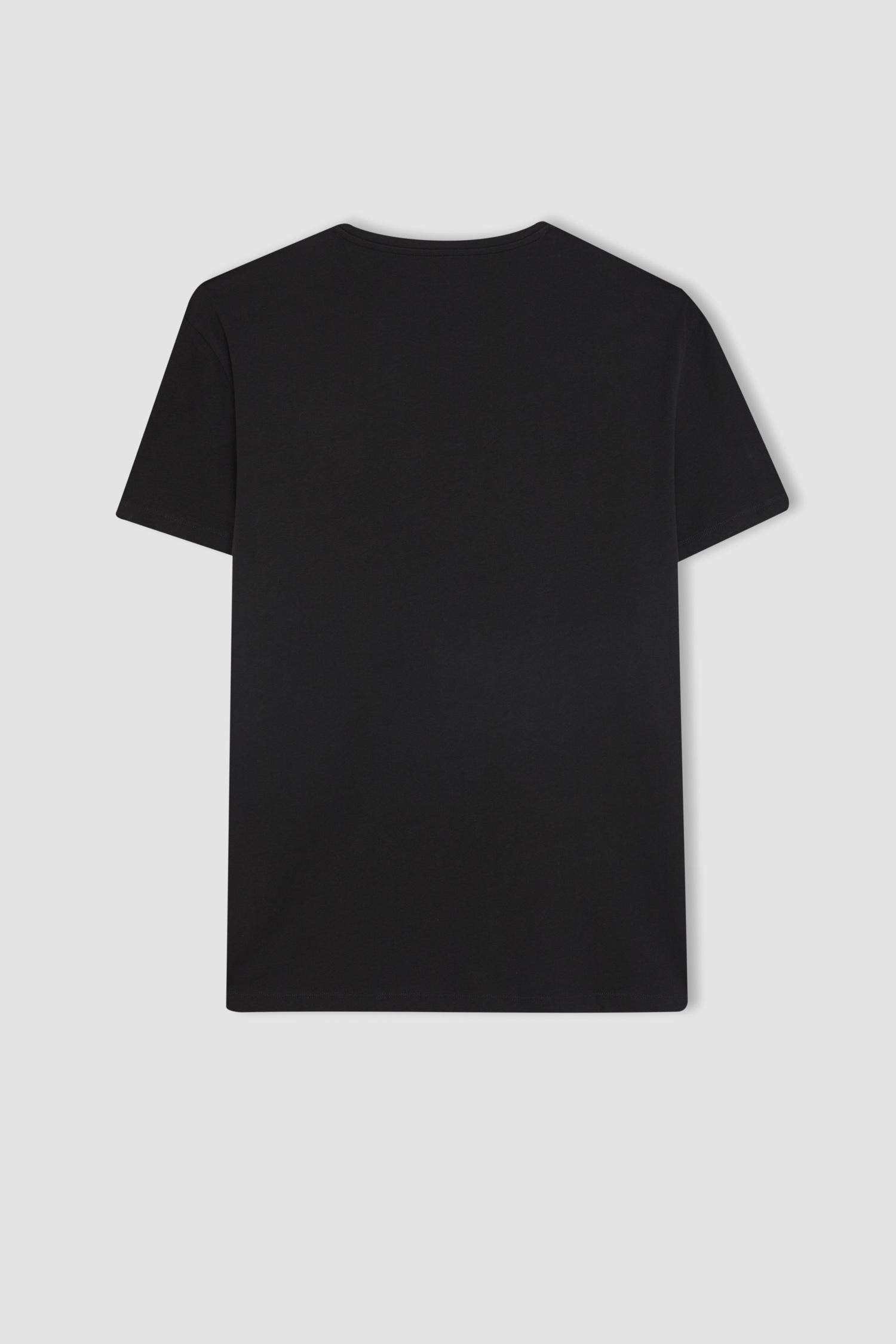 Defacto Fit Standard Fit Crew Neck Printed T-Shirt