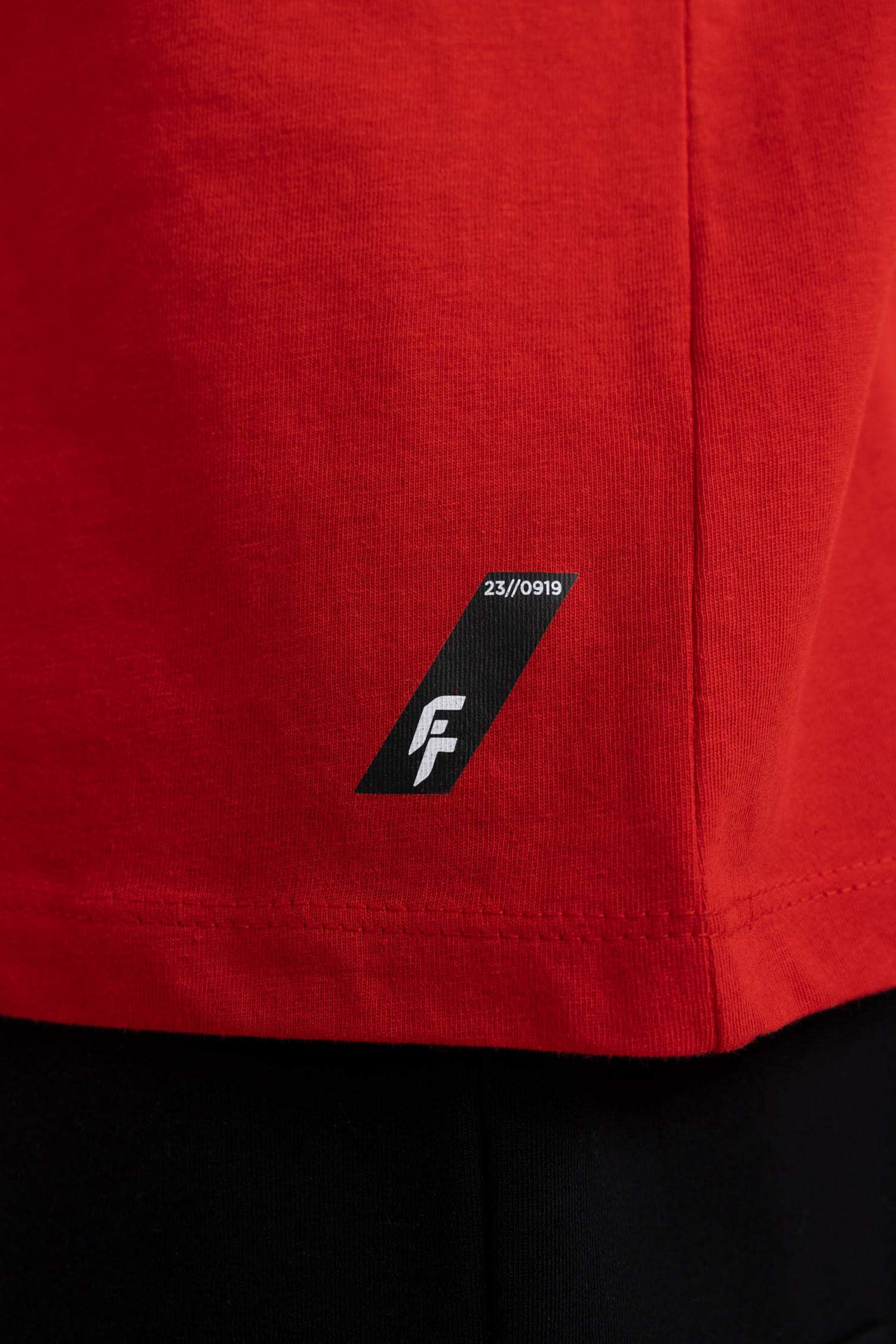 DeFactoFit Standard Fit Crew Neck Crest Printed Printed T-Shirt