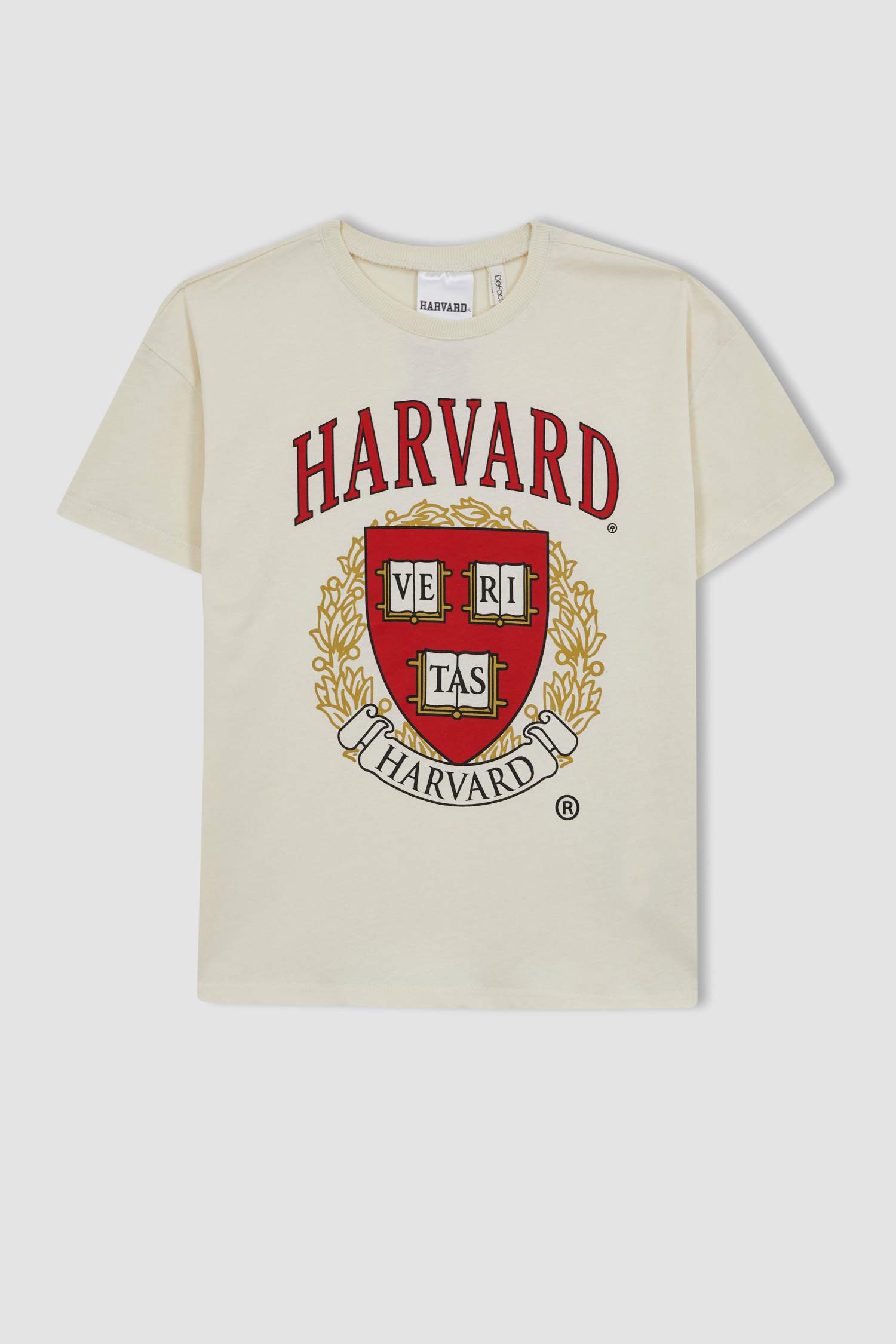 Ecru GIRLS TEENS Oversize Fit Harvard University Licensed Short