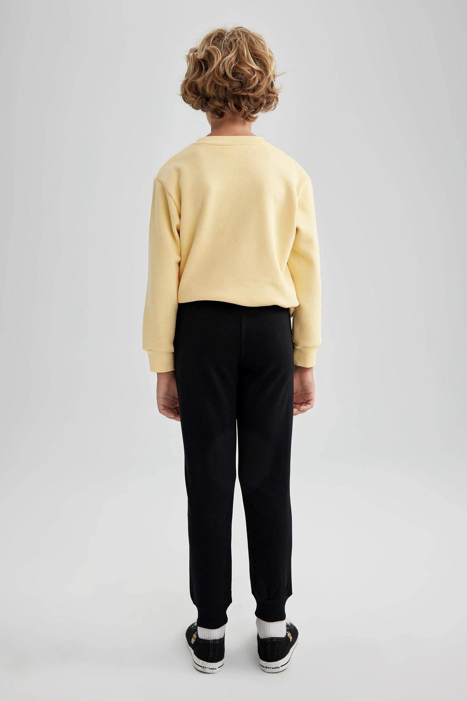 Regular Fit Trousers