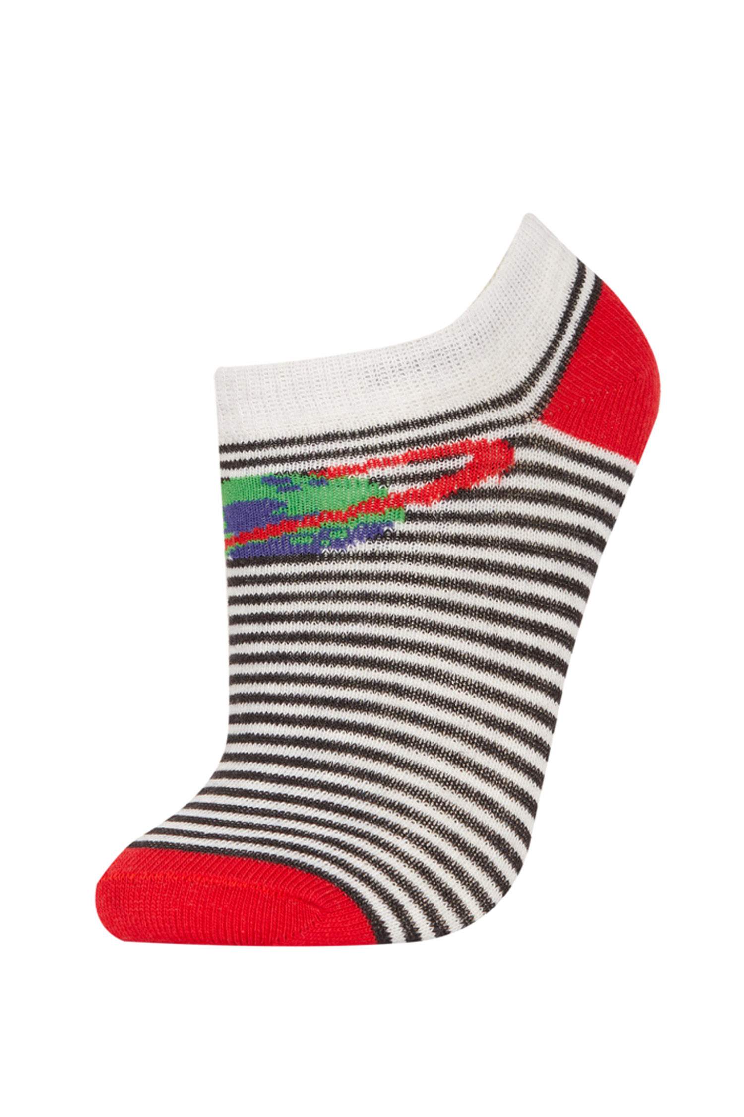 Erkek Çocuk 5'li Pamuklu Patik Çorap