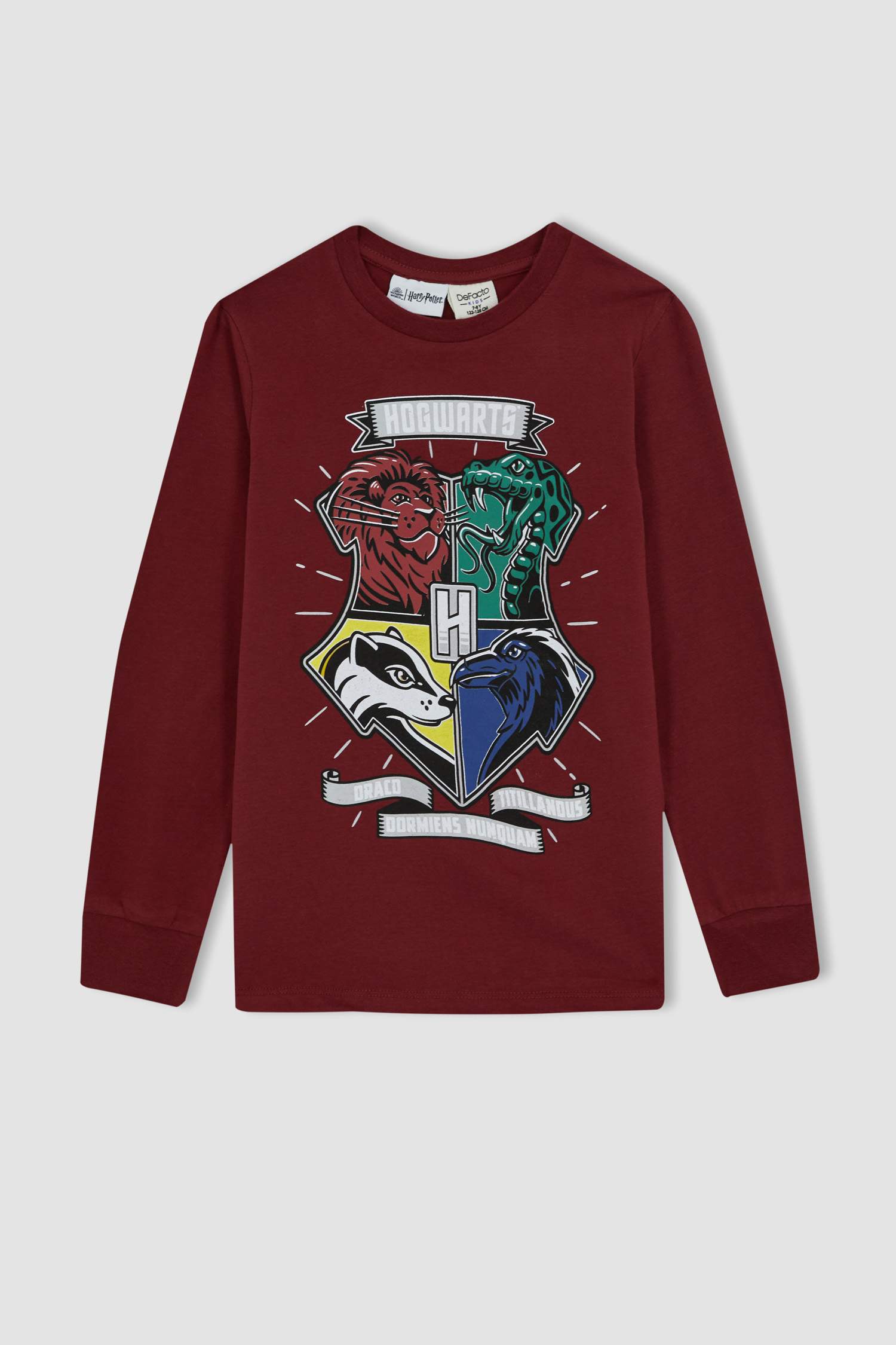 Пижама Harry Potter для мальчиков