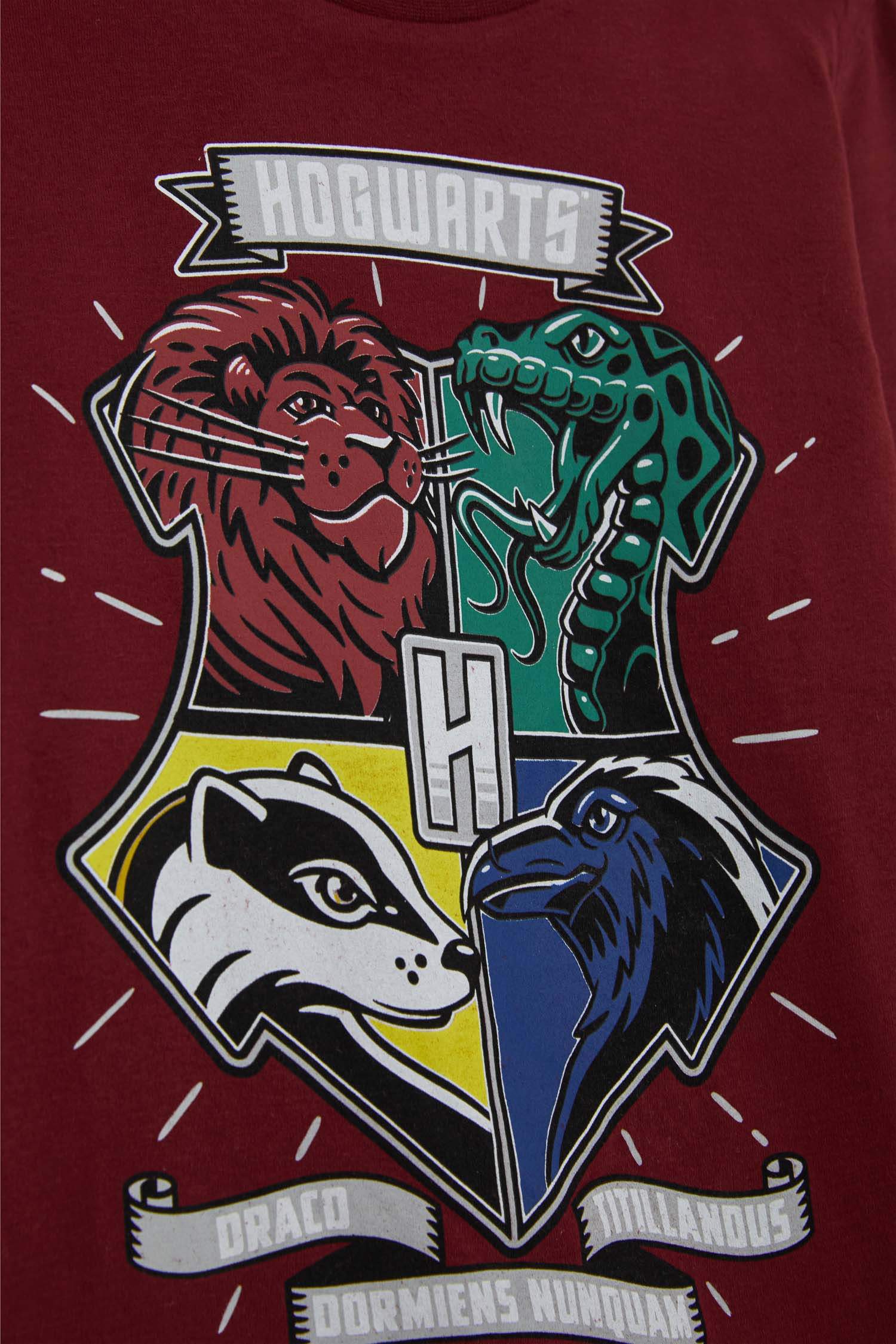 Пижама Harry Potter для мальчиков