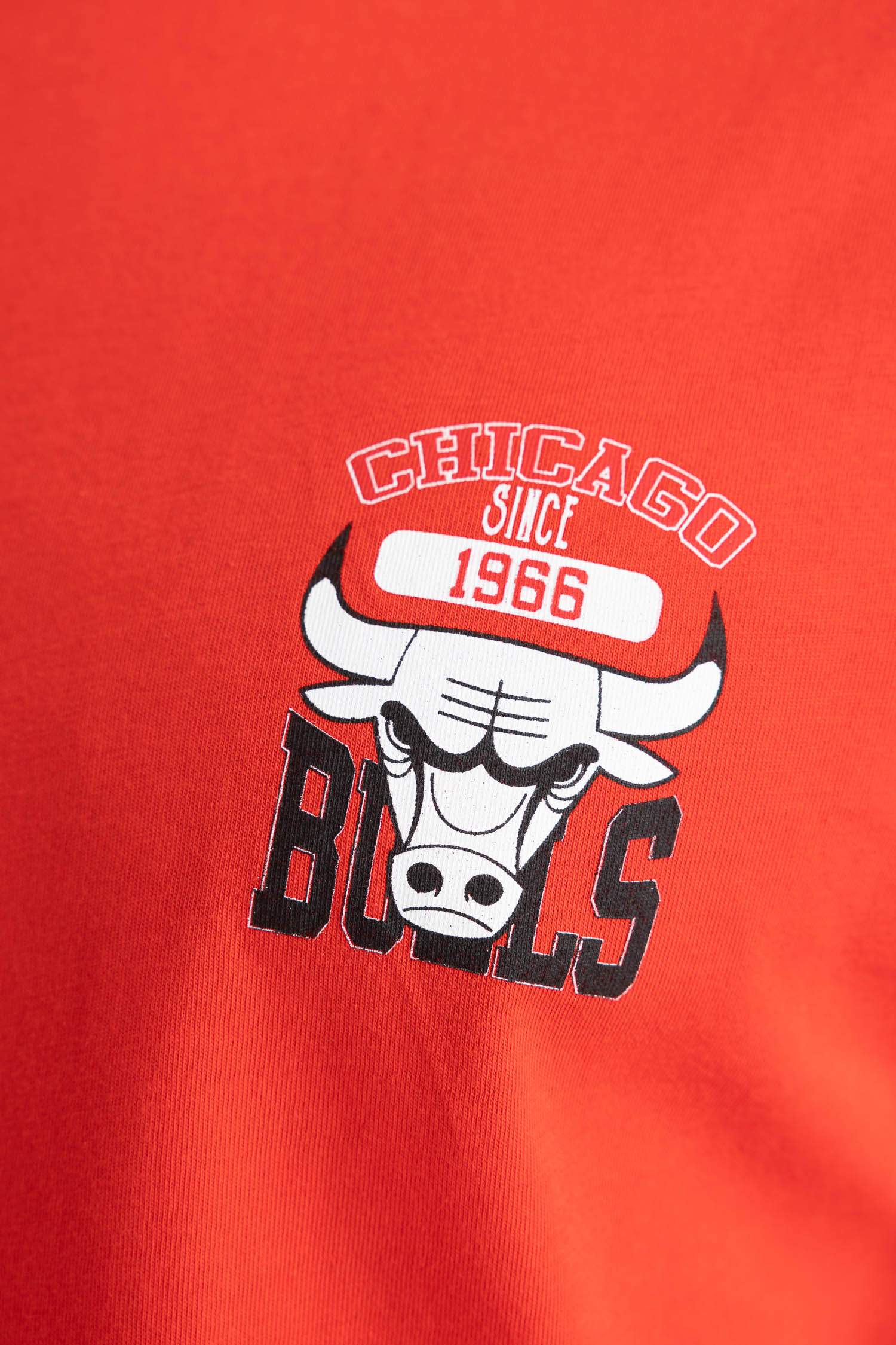 Standard Fit Chicago Bulls Licensed Crew Neck T-Shirt