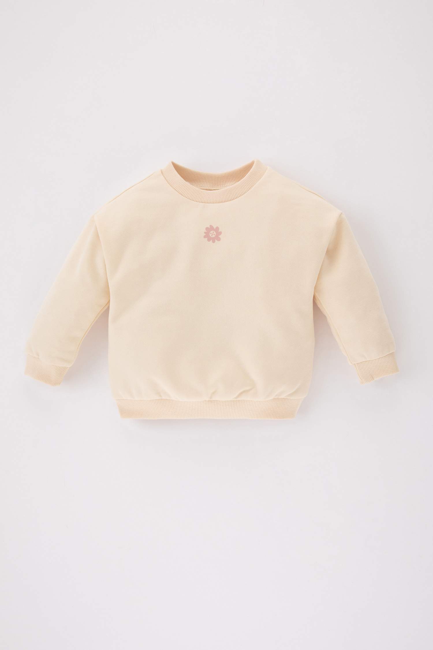 Baby Girl Regular Fit Crew Neck Thick Sweatshirt