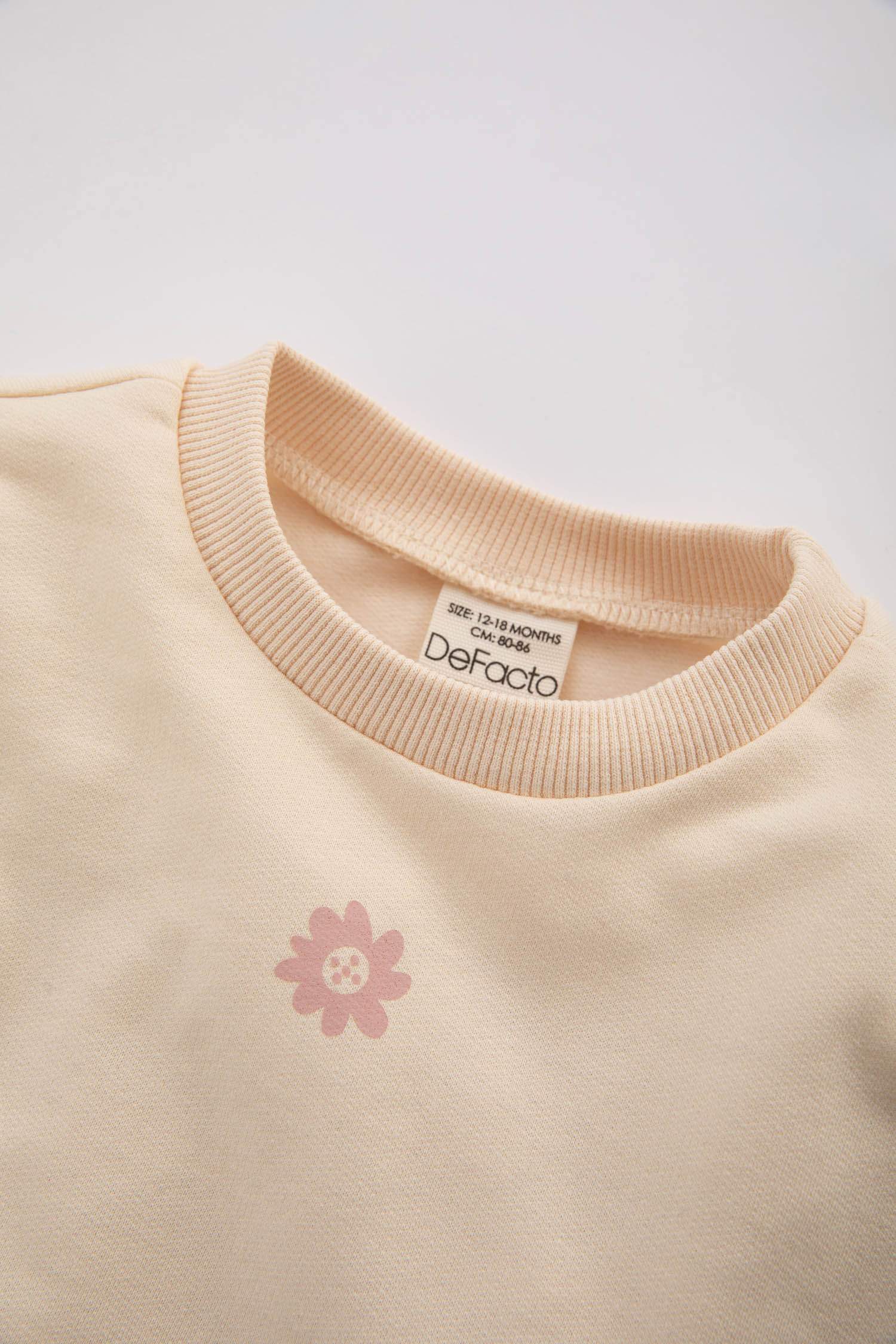 Baby Girl Regular Fit Crew Neck Thick Sweatshirt