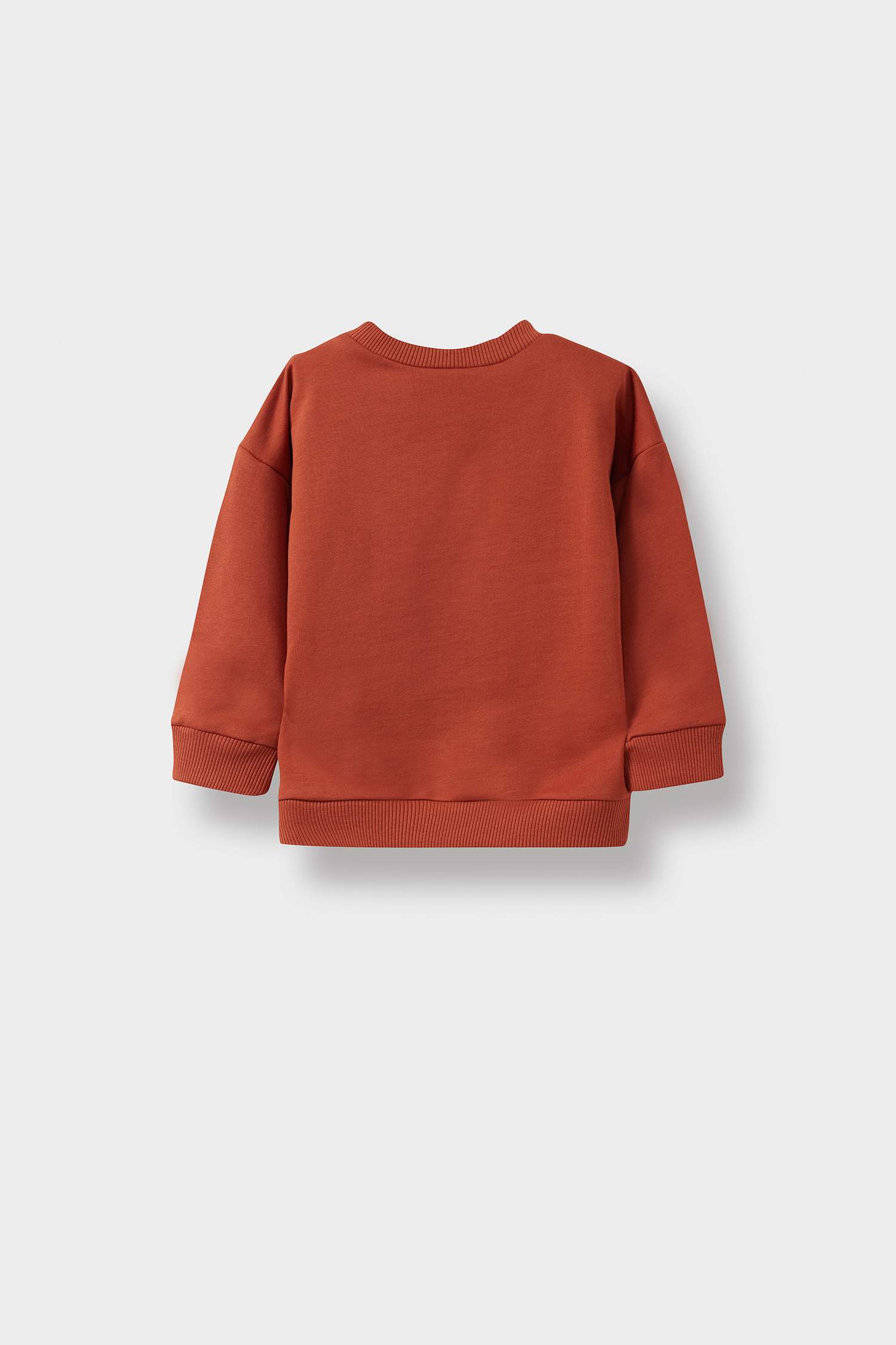 Baby Boy Crew Neck Basic Sweatshirt
