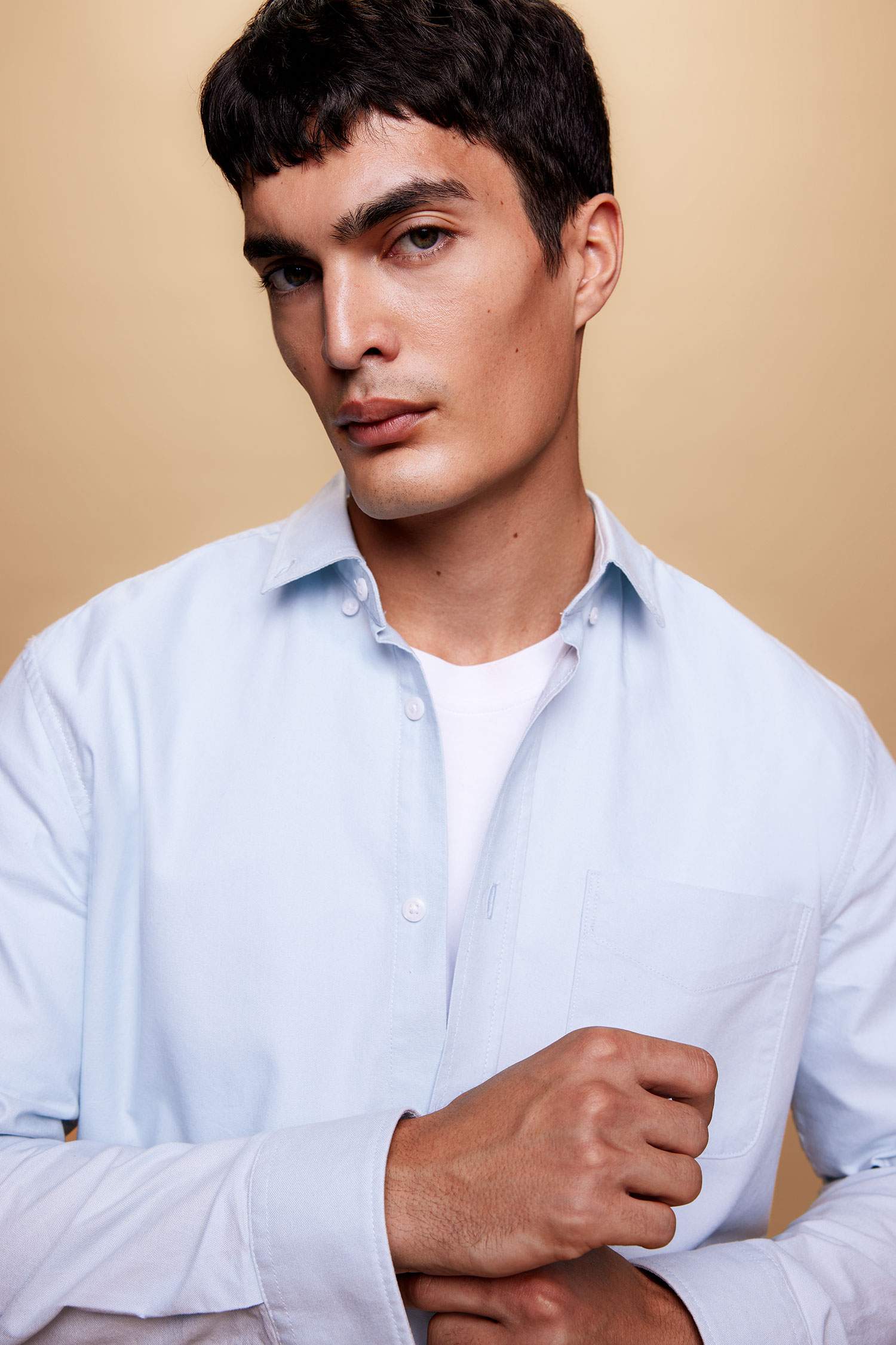 Regular Fit Polo Collar Oxford Basic  Shirt