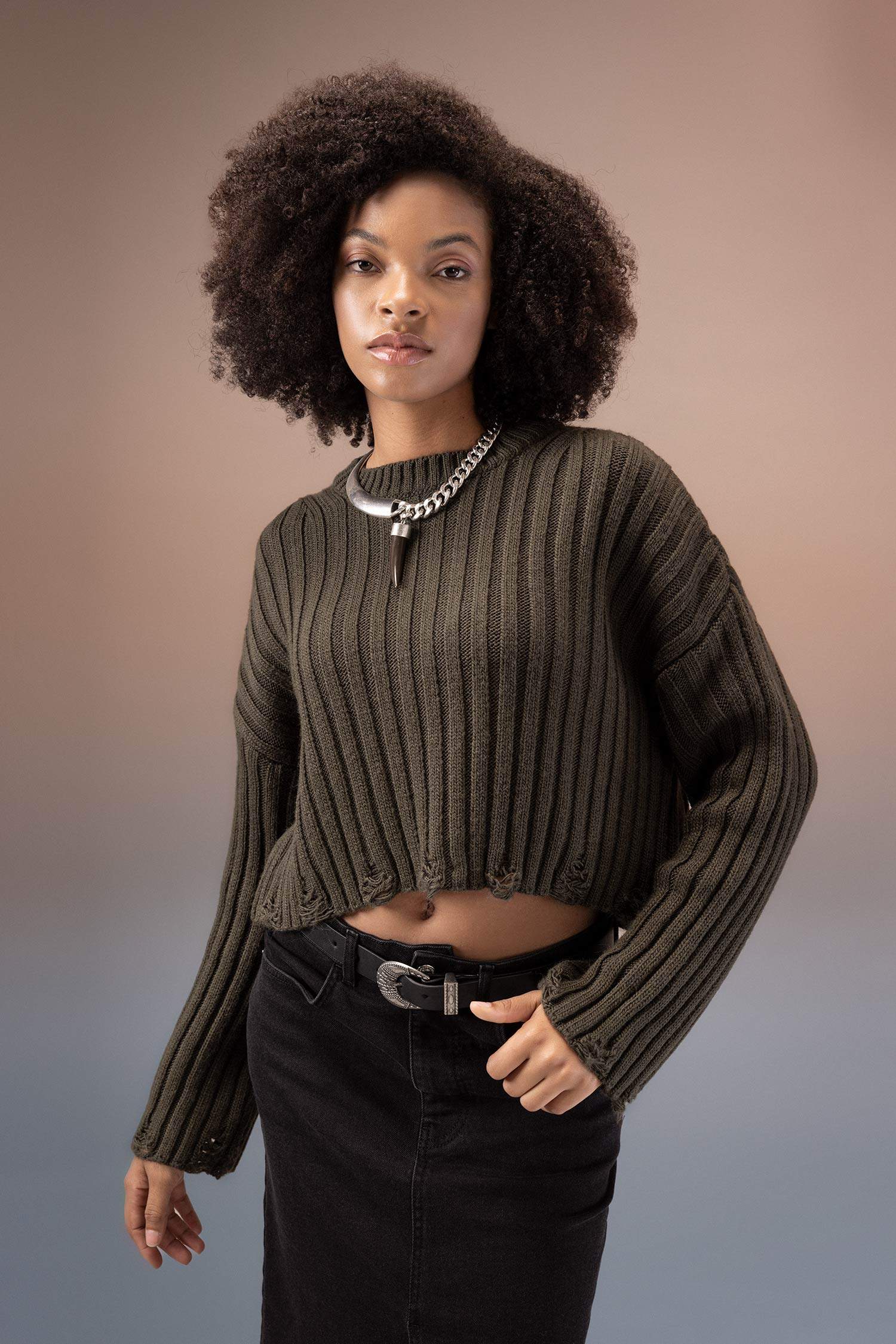 Regular Fit Crew Neck Knitwear Pullover