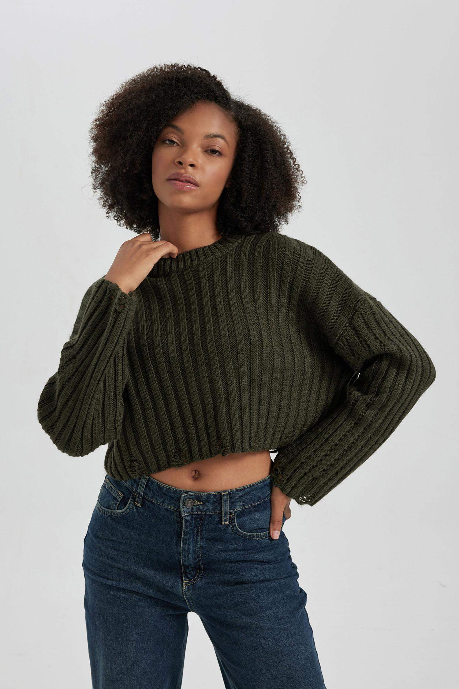 Regular Fit Crew Neck Knitwear Pullover