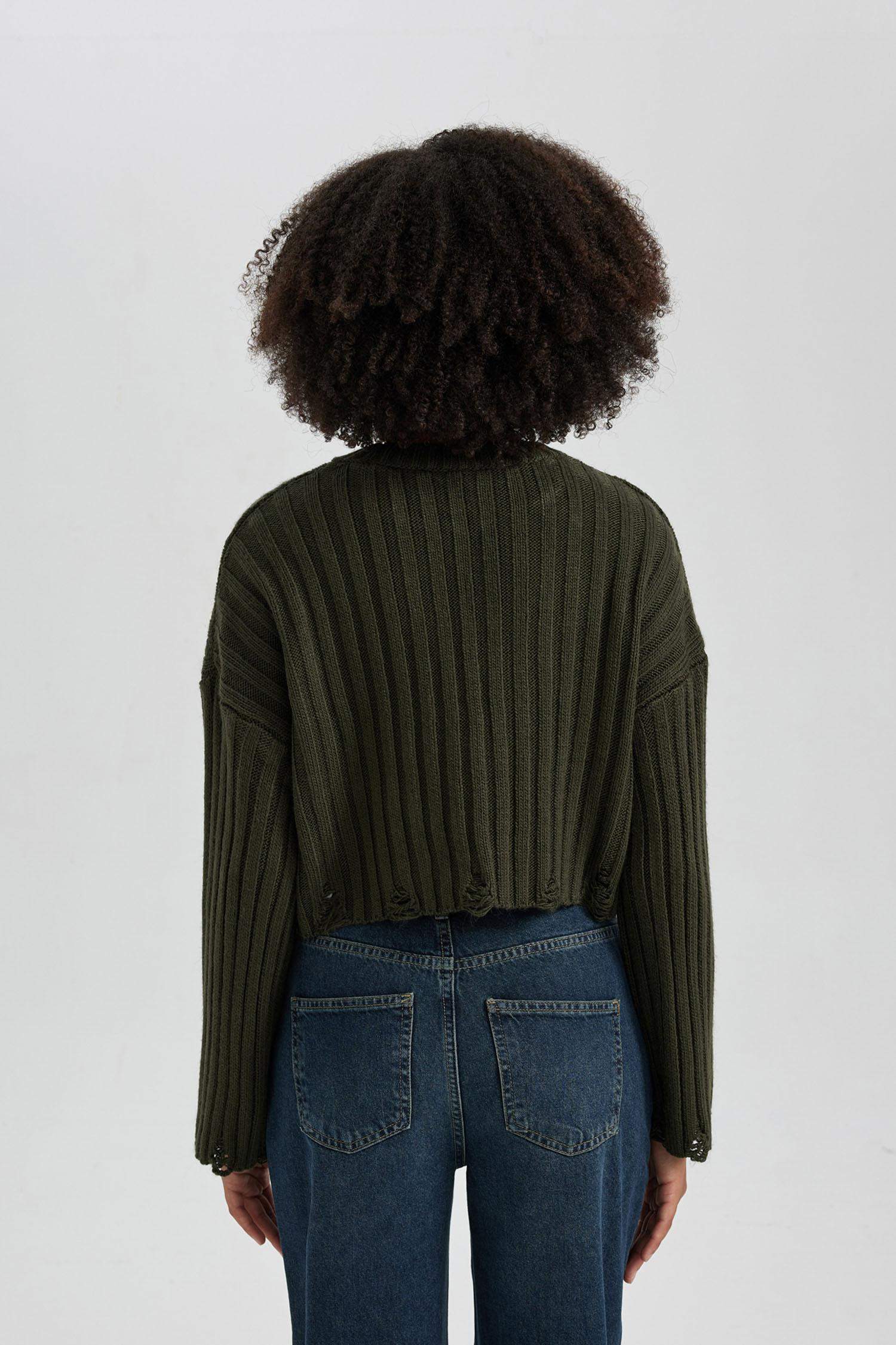 Regular Fit Crew Neck Knitwear Pullover