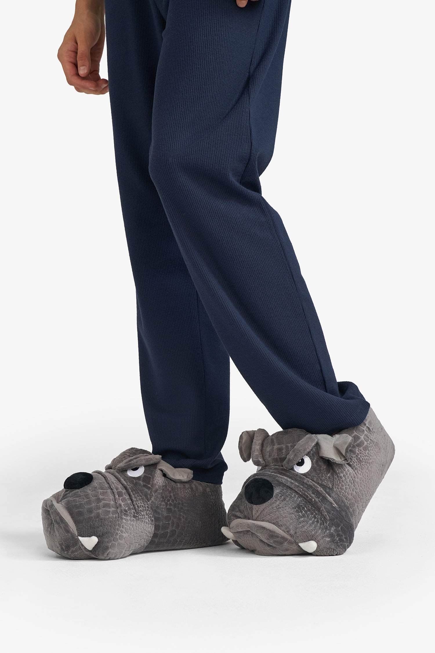 Boy Flat Sole Dog Home Slippers