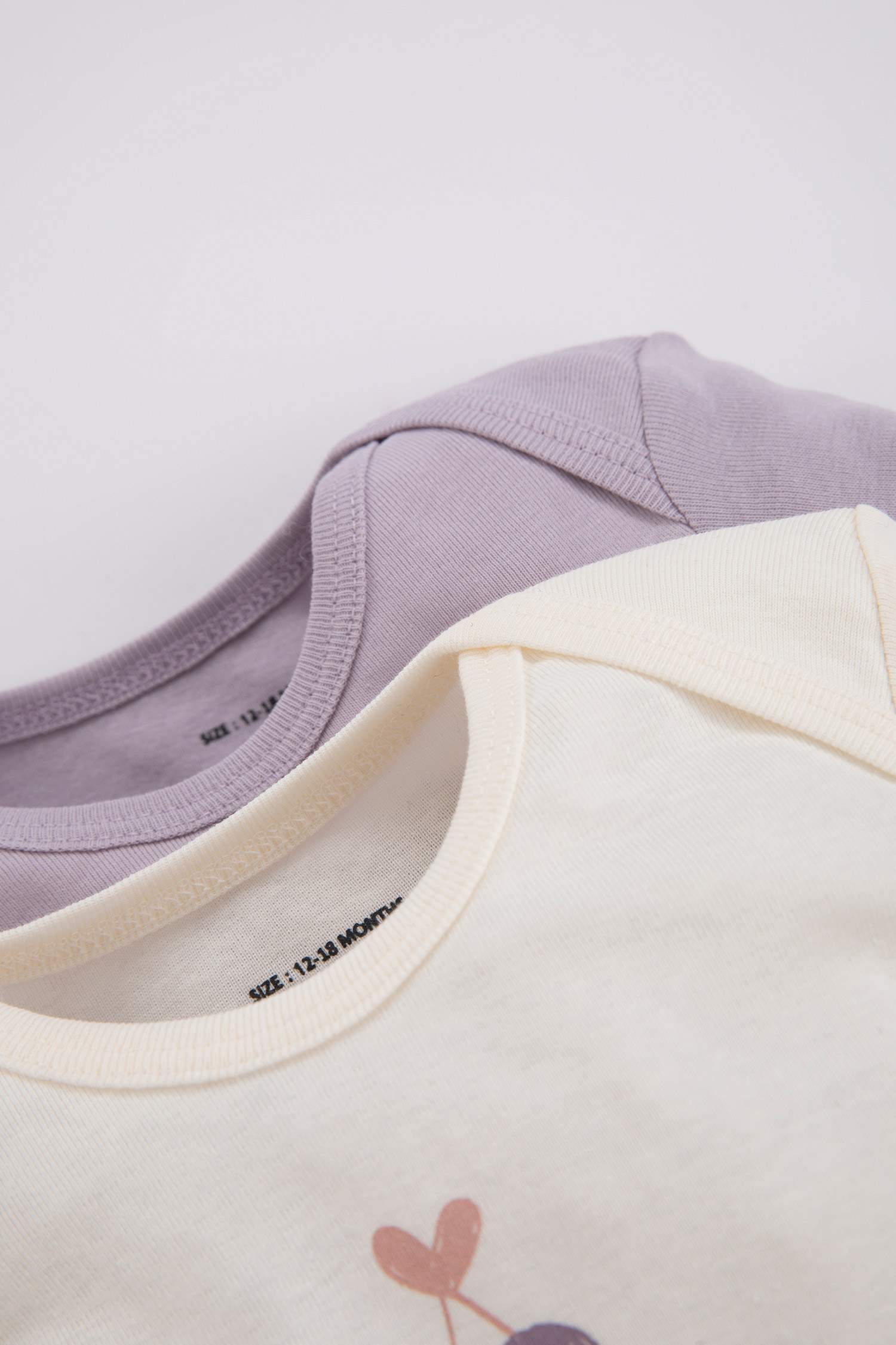 Baby Girl 2 piece Long Sleeve Snap Body