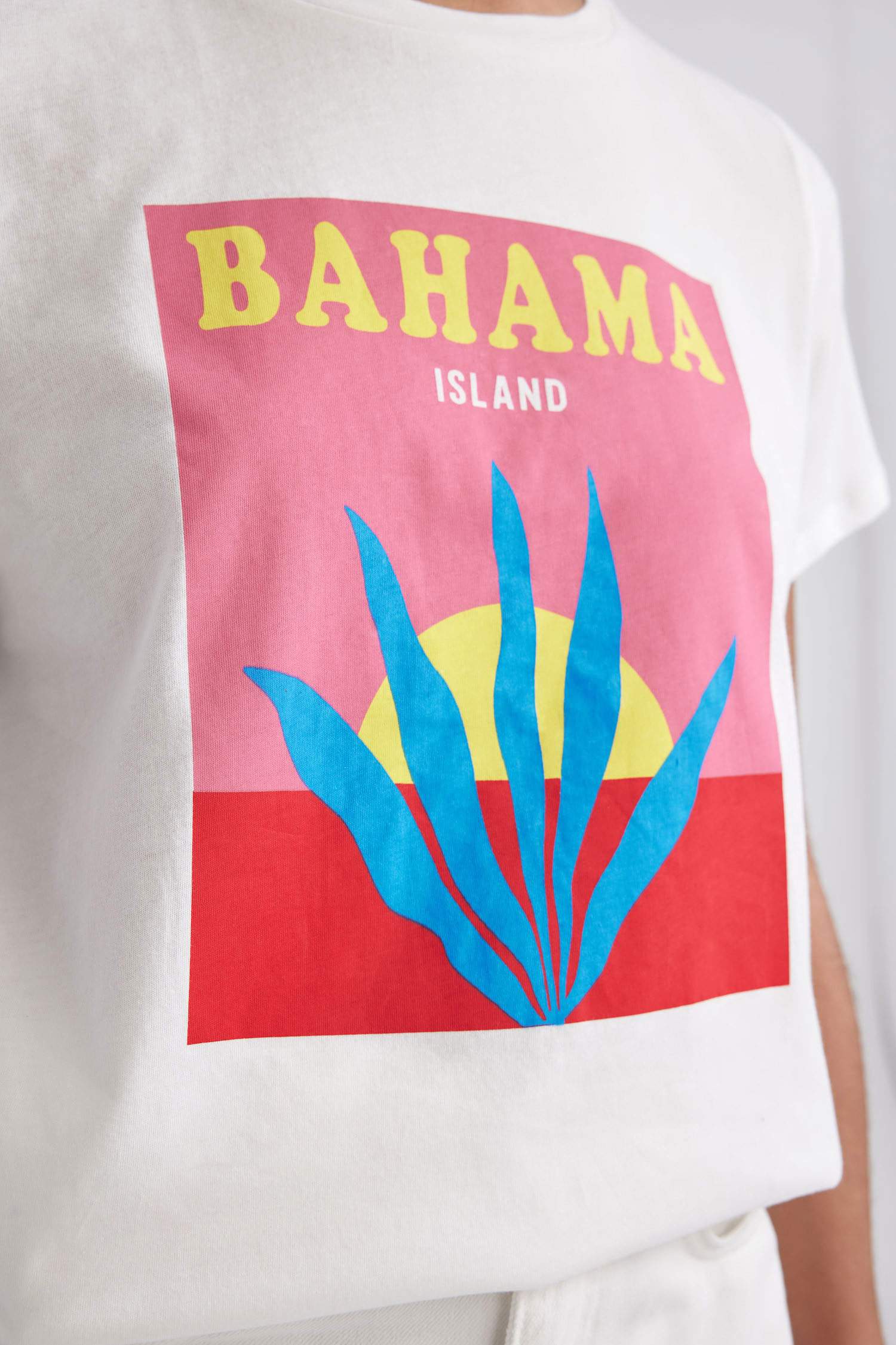 Regular Fit Crew Neck Printed Short Sleeve T-Shirt